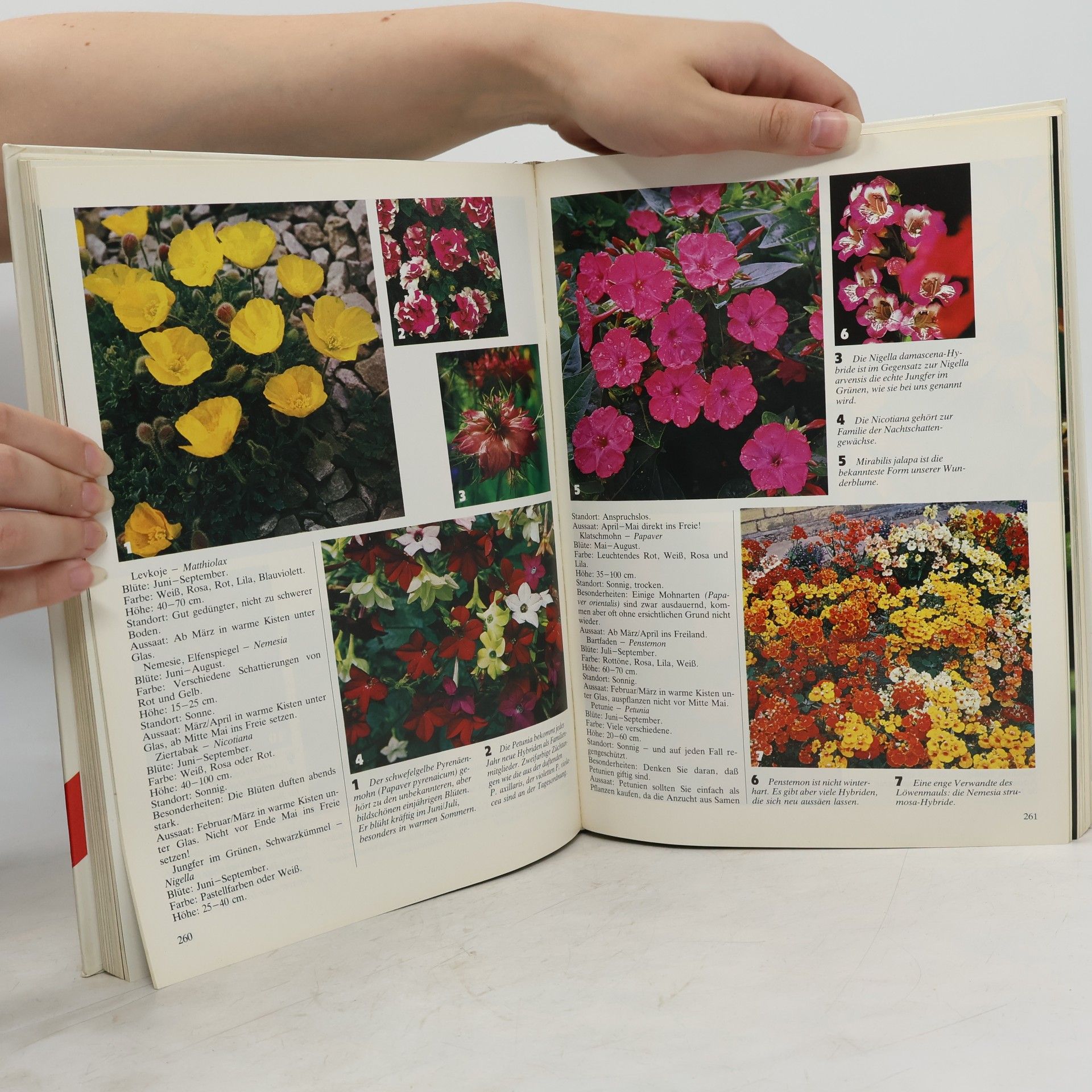 Various authors Das grosse Buch vom Garten