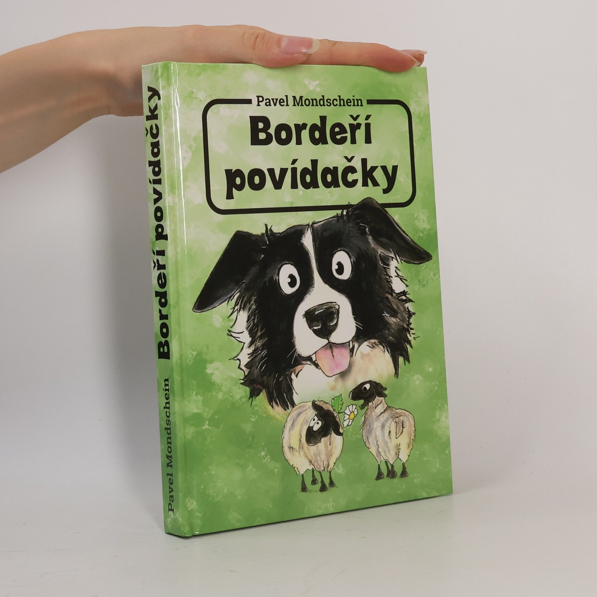 Alena Doubravová Bordeří povídačky
