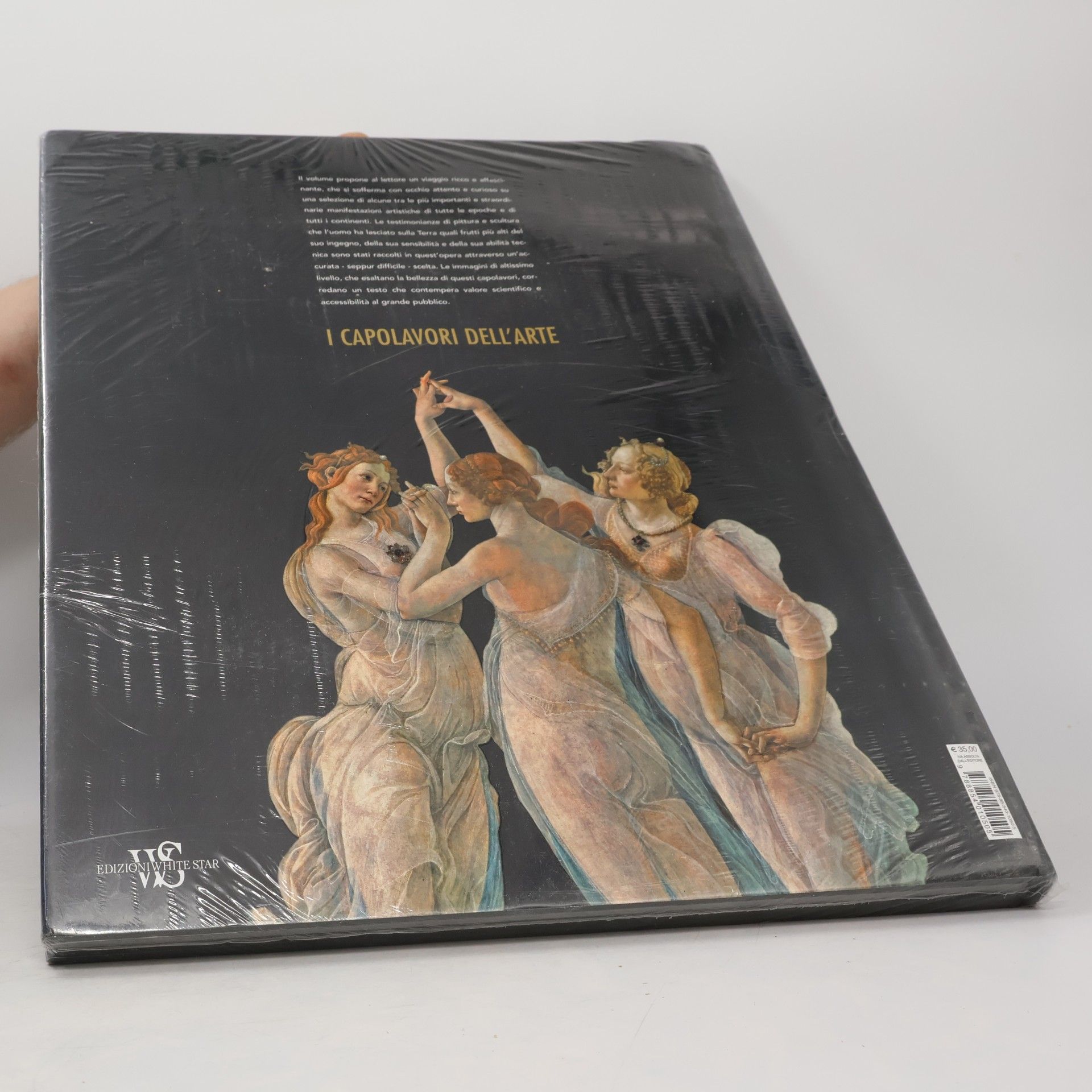 Lucia Gasparini Le meraviglie del mondo: I capolavori dell'arte. Ediz. illustrata