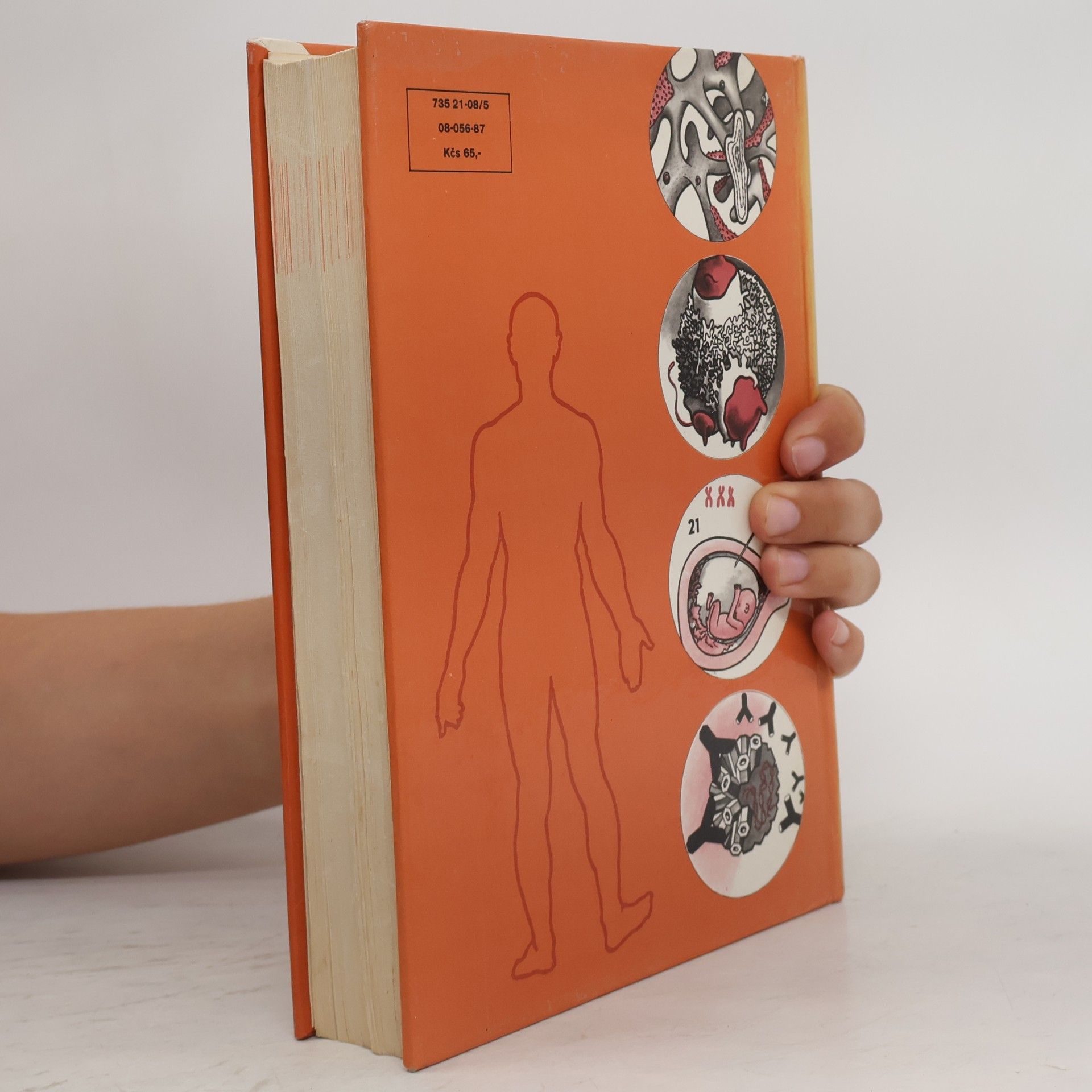 Auteurscollectief Patologická fyziologie