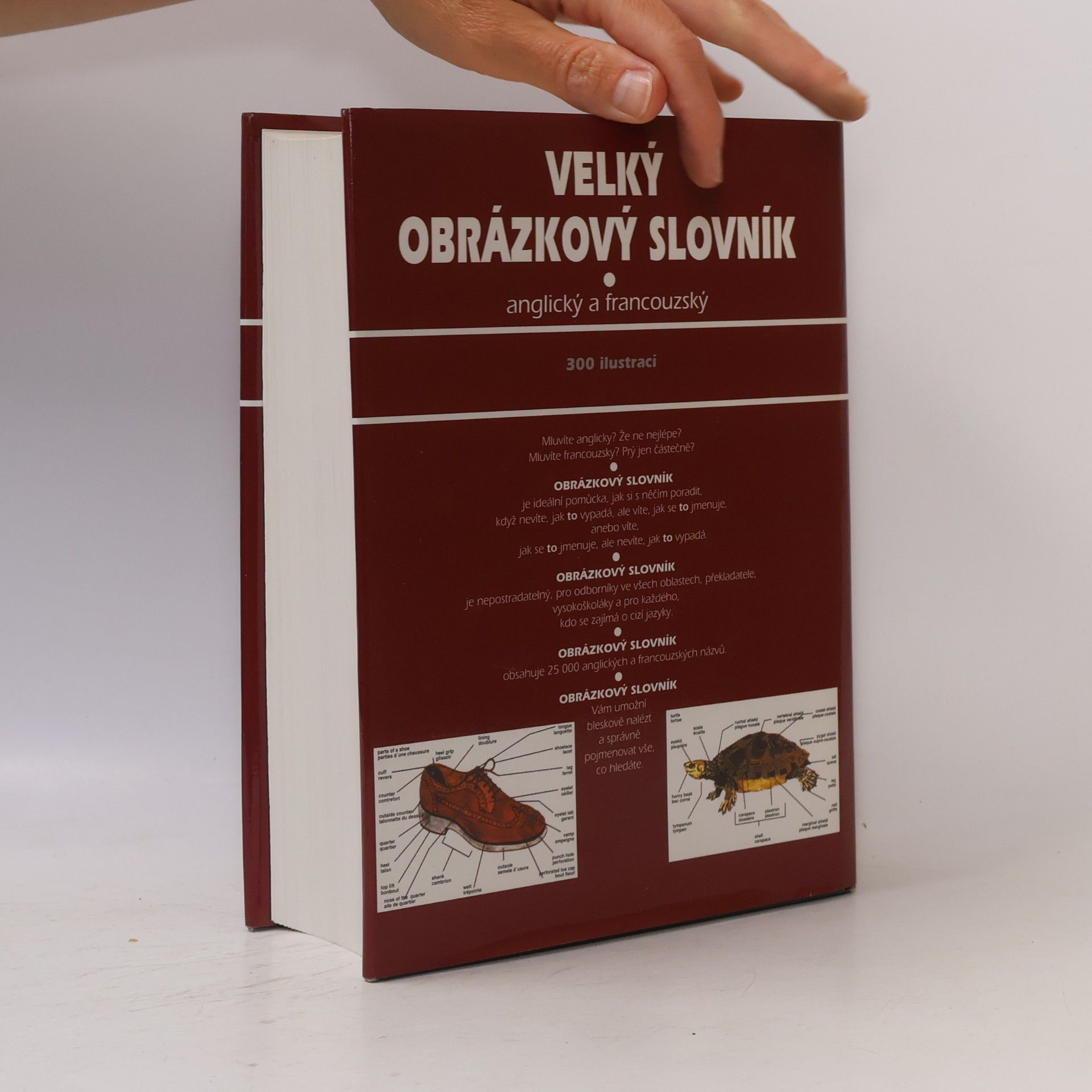 Jean-Claude Corbeil Velký obrázkový slovník: Anglický a francouzský