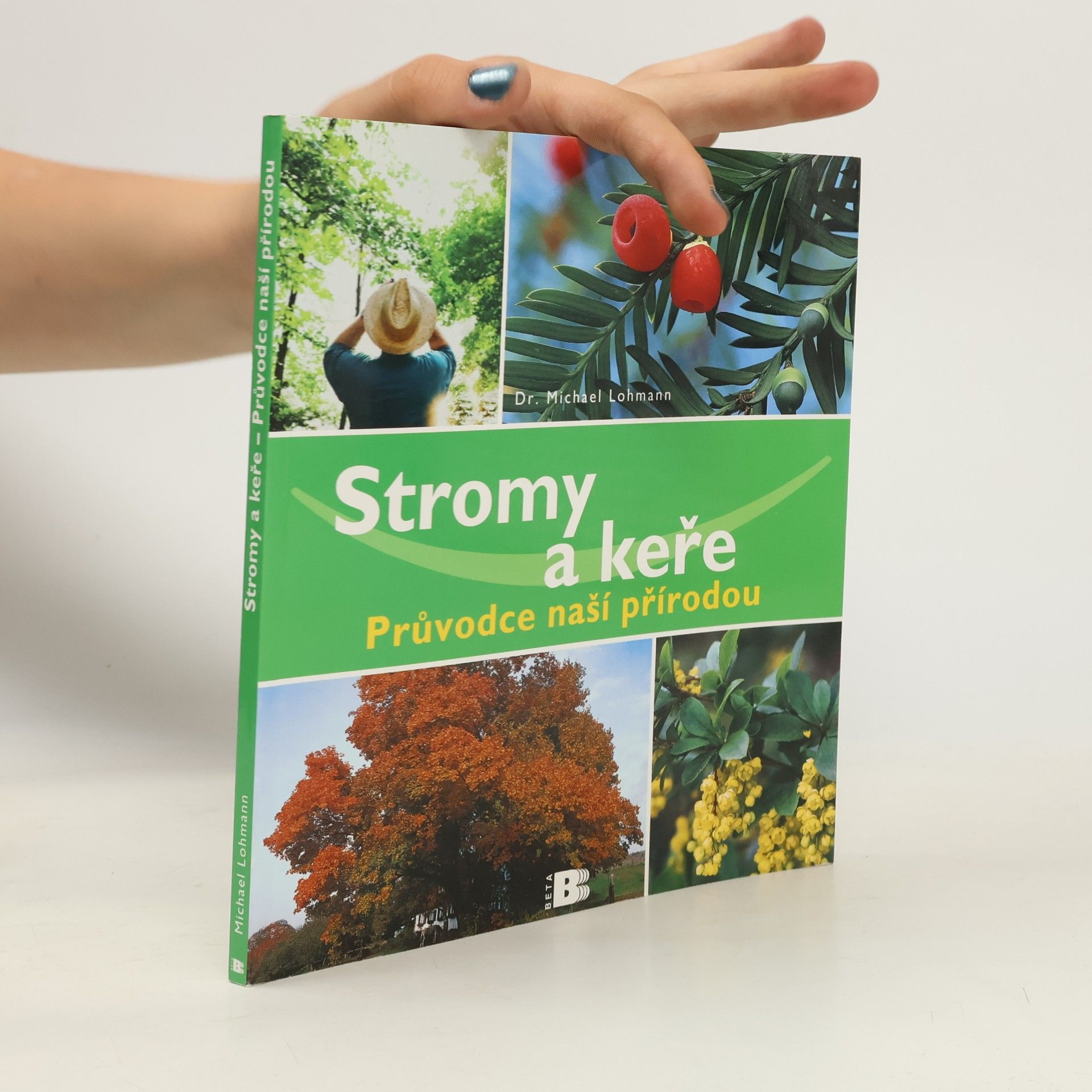 Michael Lohmann Stromy a keře