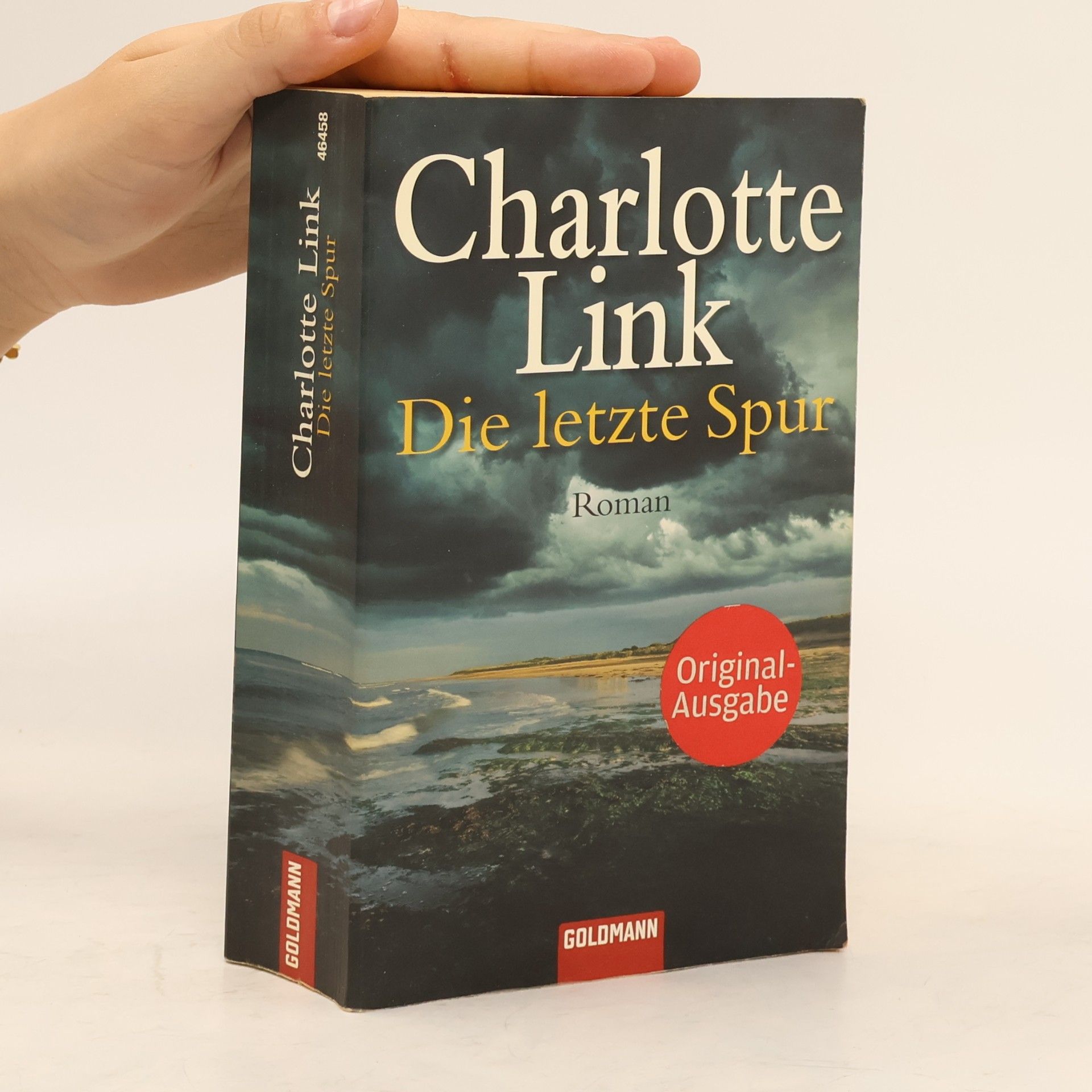 Charlotte Link Die letzte Spur