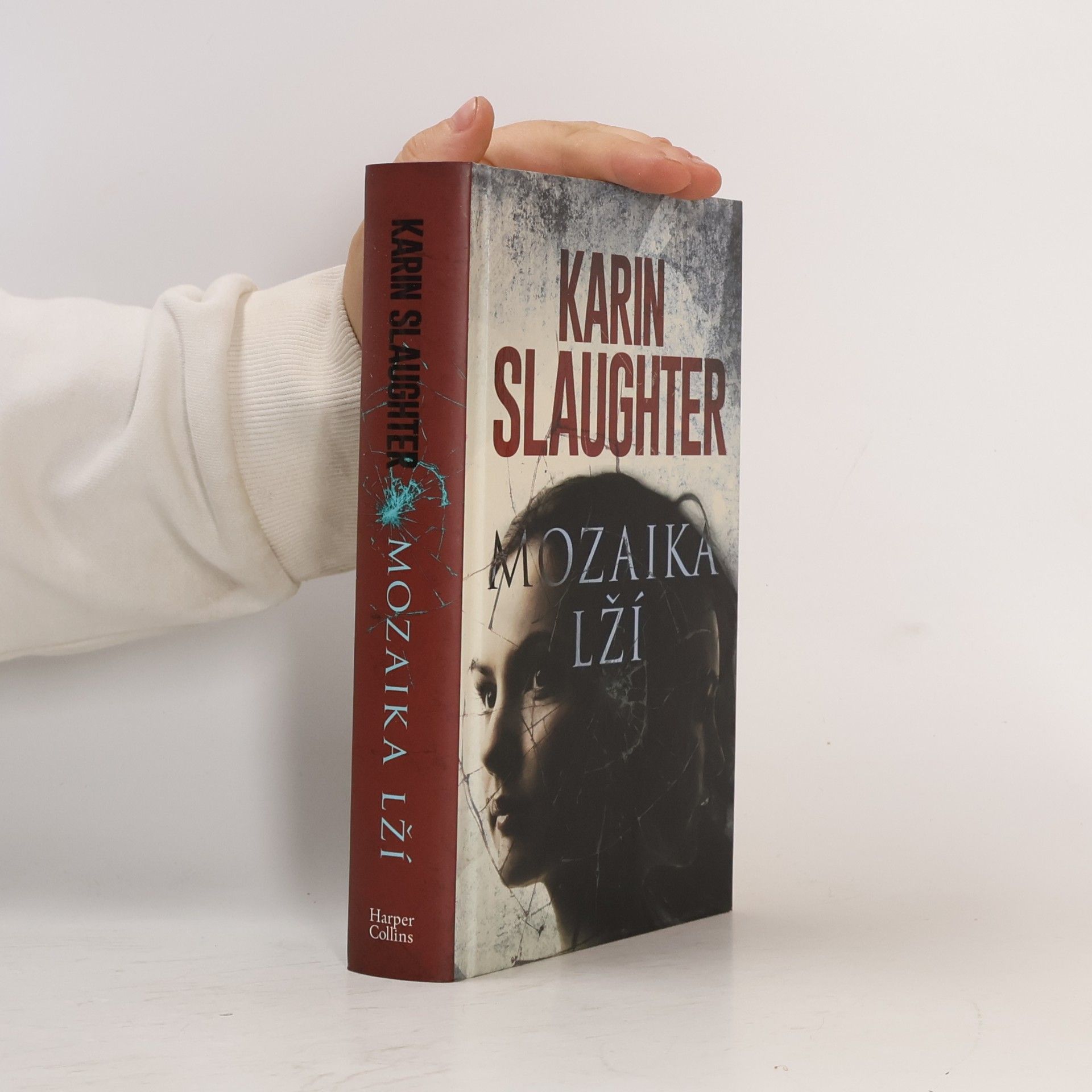 Karin Slaughter Mozaika lží