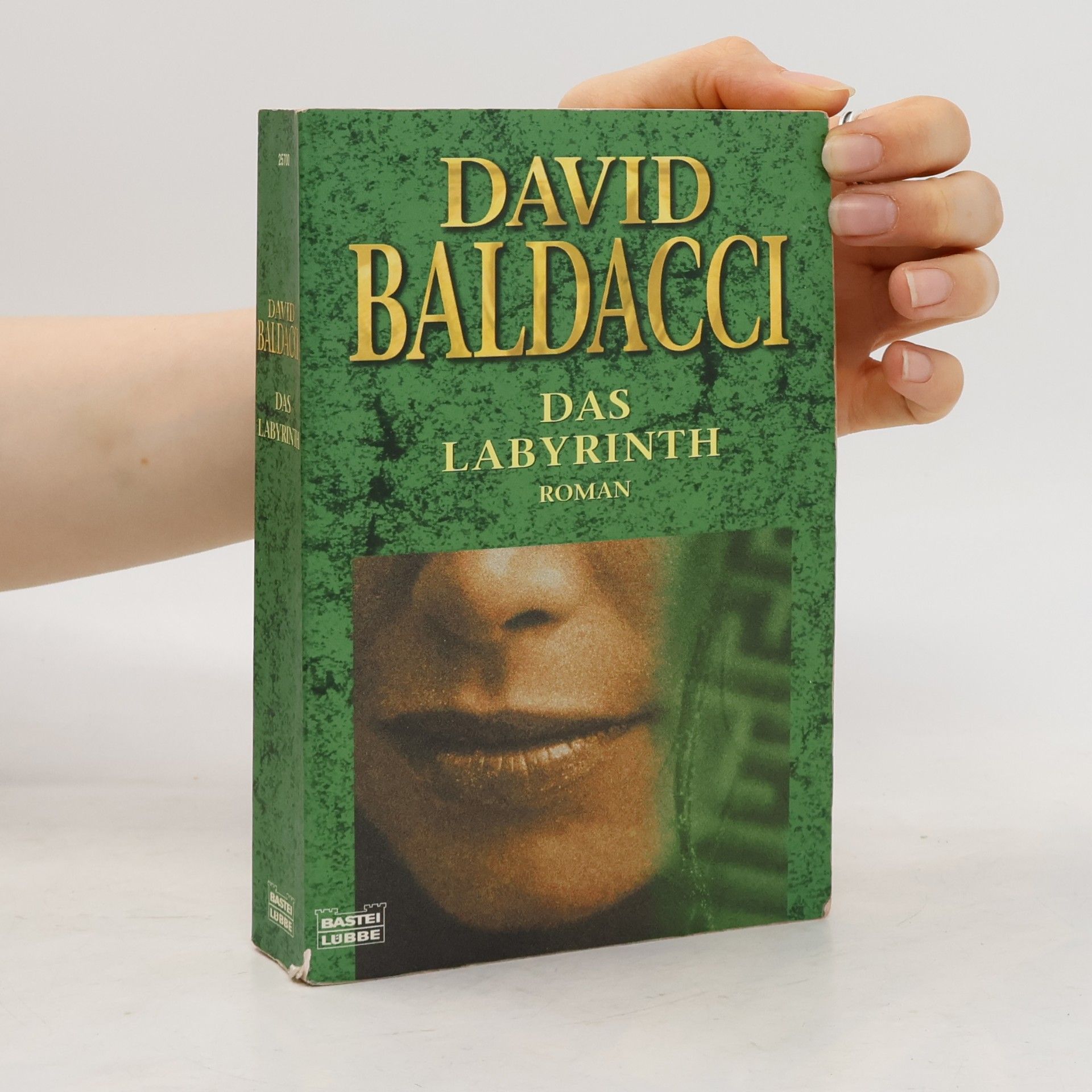 David Baldacci Das Labyrinth