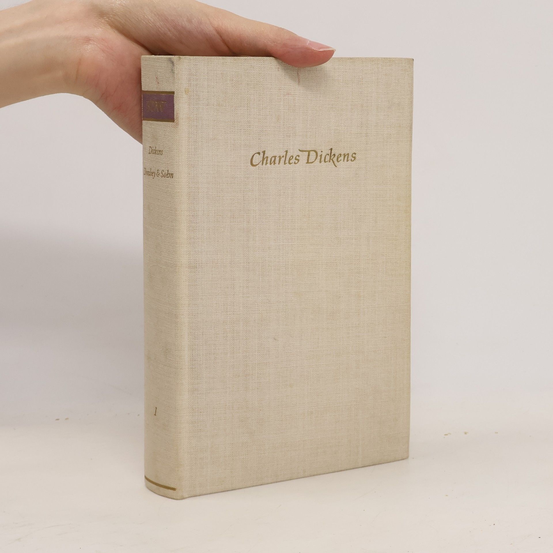 Charles Dickens Dombey & Sohn