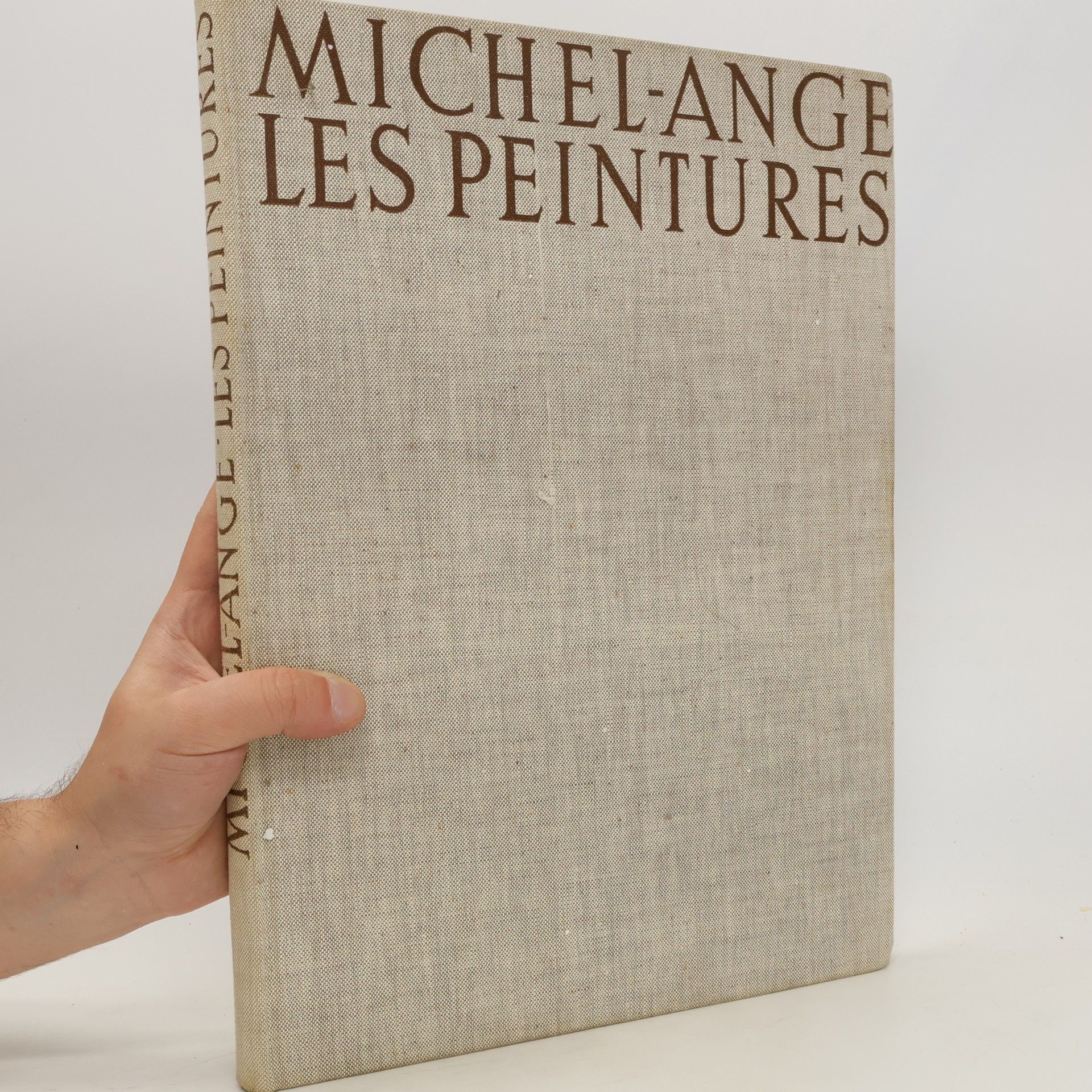 Auteurscollectief Michel-Ange: Les Peintures