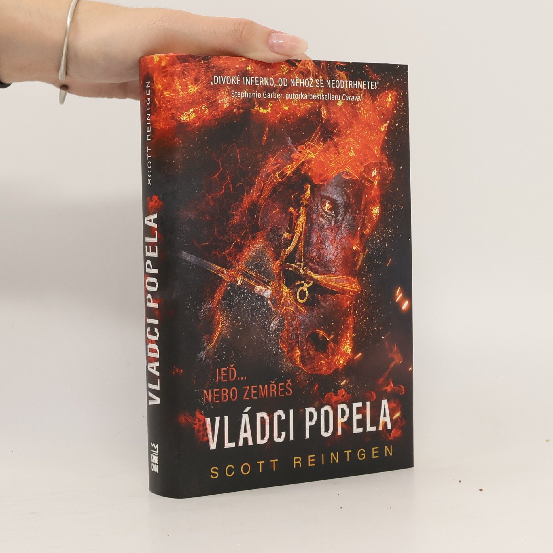 Scott Reintgen Vládci popela