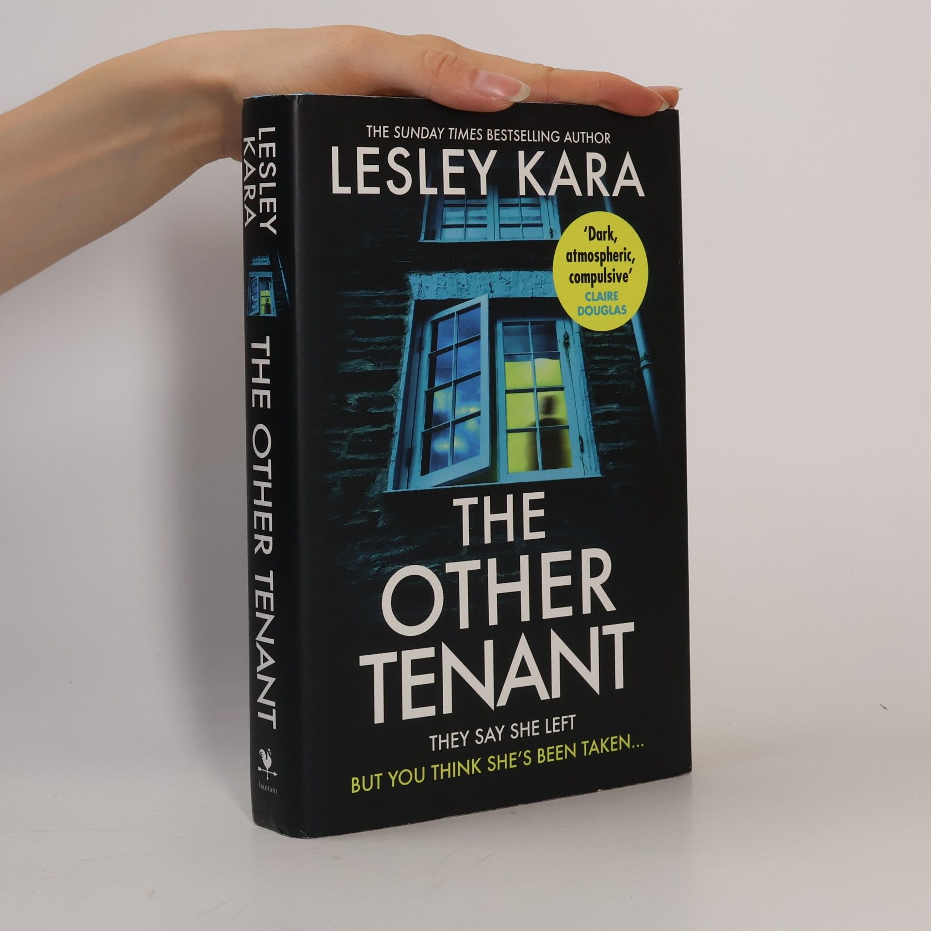 Lesley Kara The Other Tenant