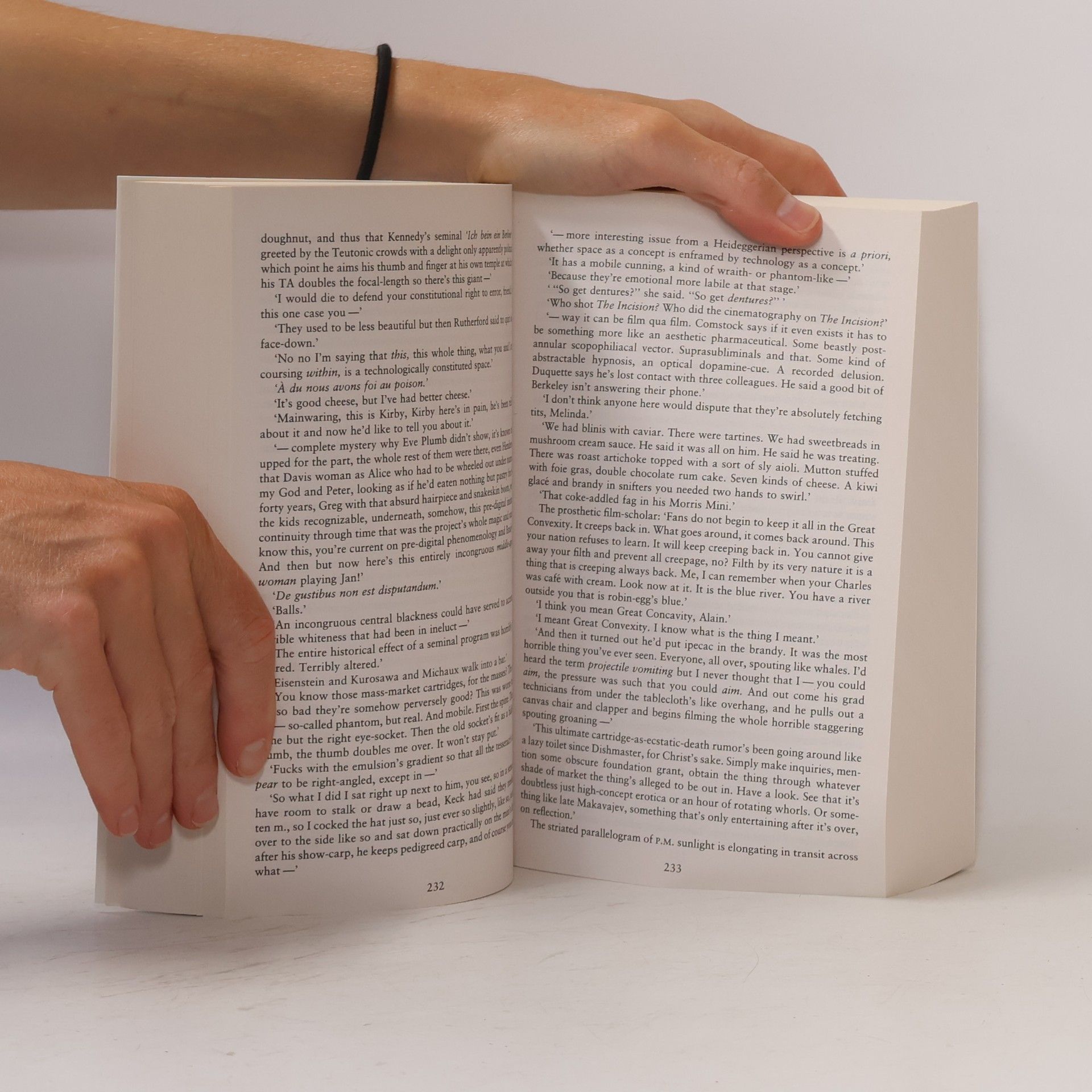 David Foster Wallace Infinite Jest
