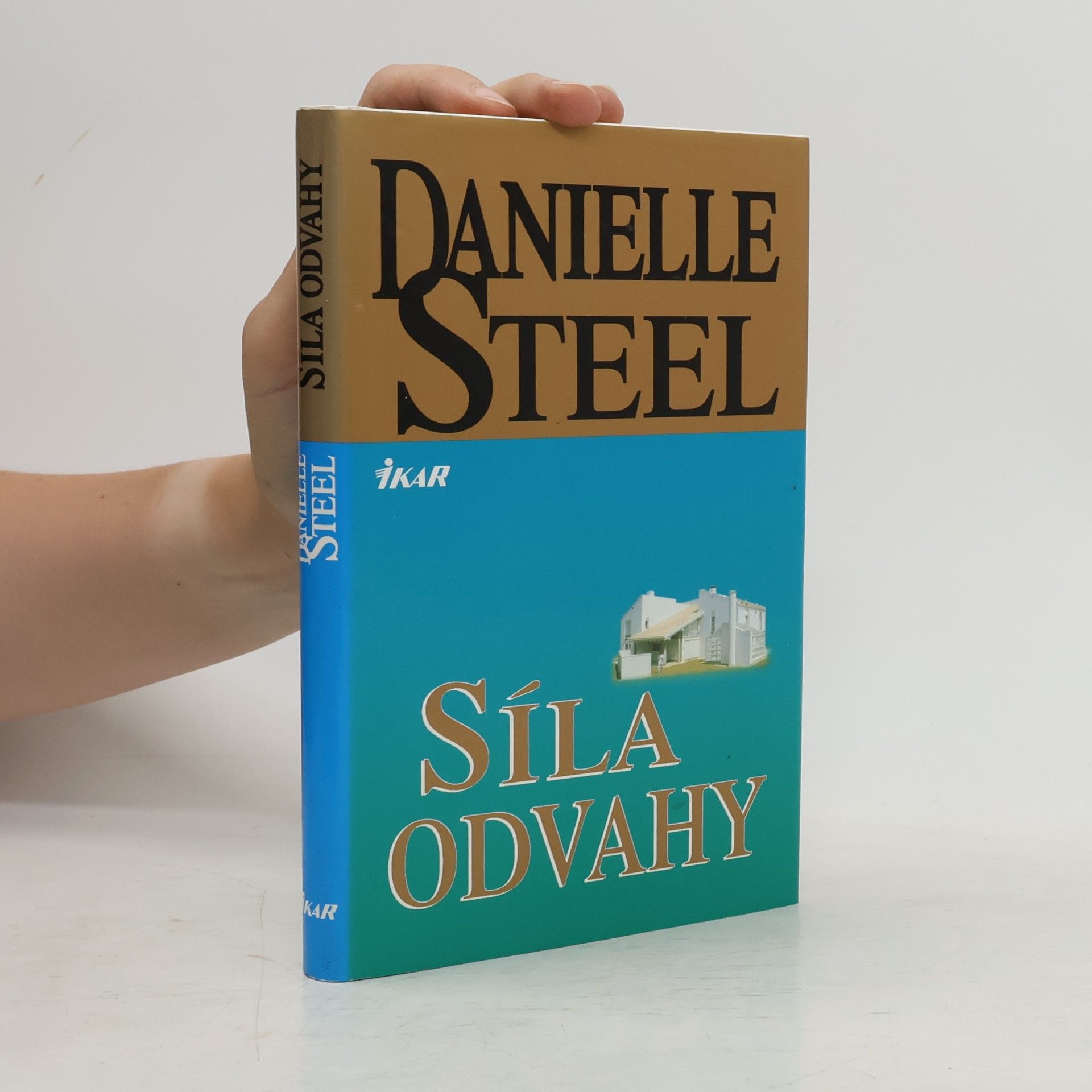 Danielle Steel Síla odvahy