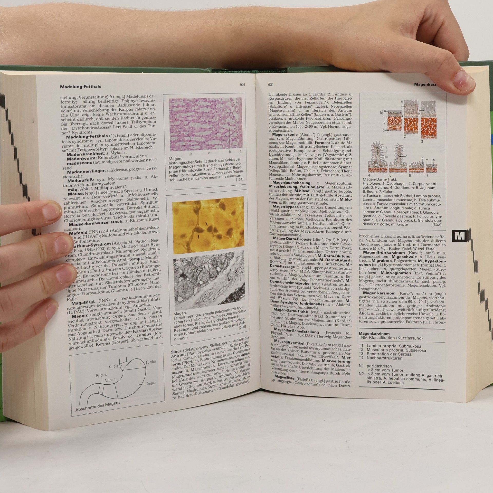 Autorenkollektiv Pschyrembel Klinisches Wörterbuch