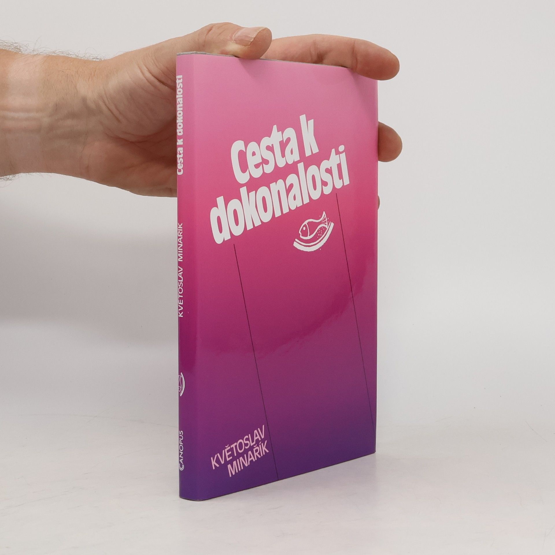 Květoslav Minařík Cesta k dokonalosti: Praktická psychologie
