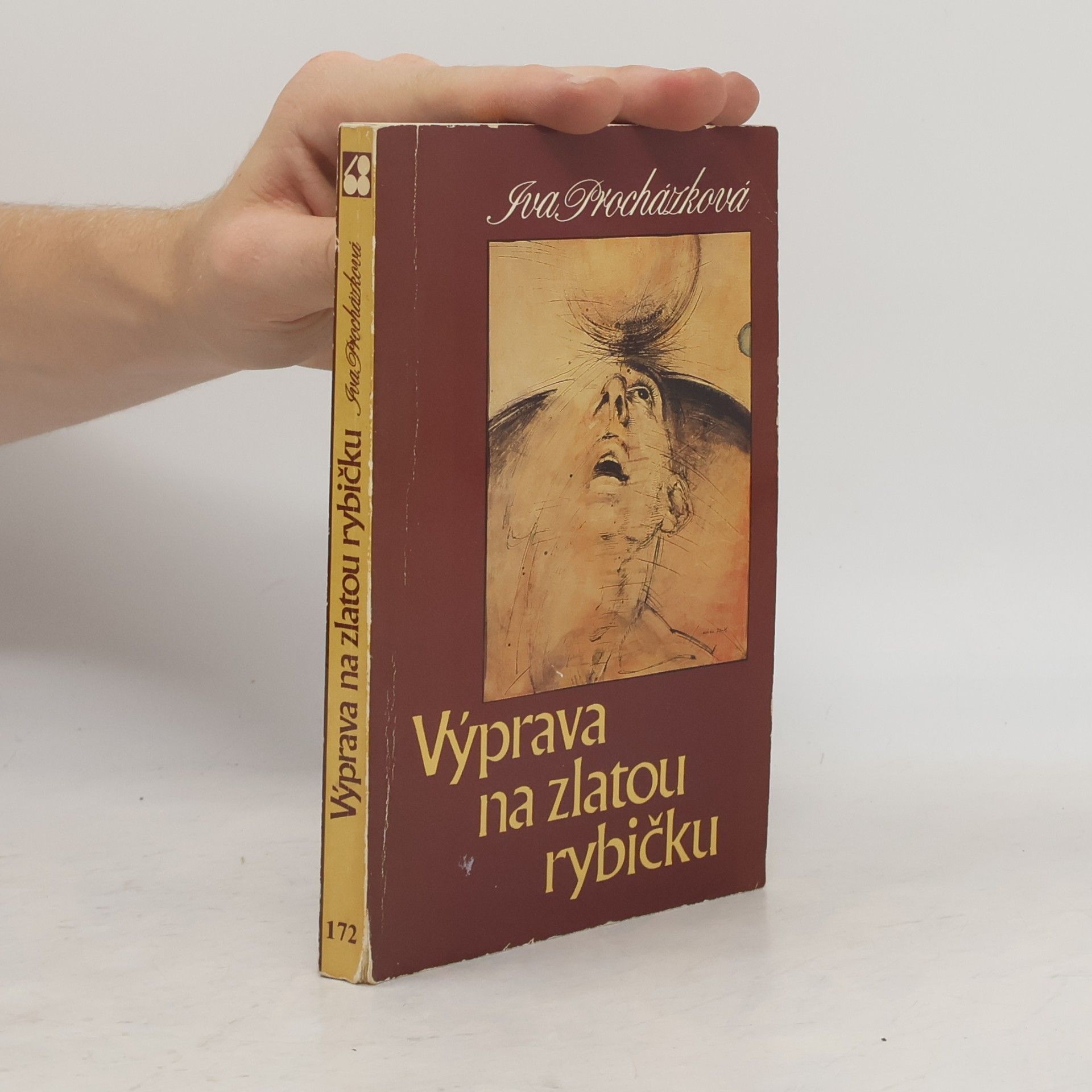 Iva Procházková Výprava na zlatou rybičku