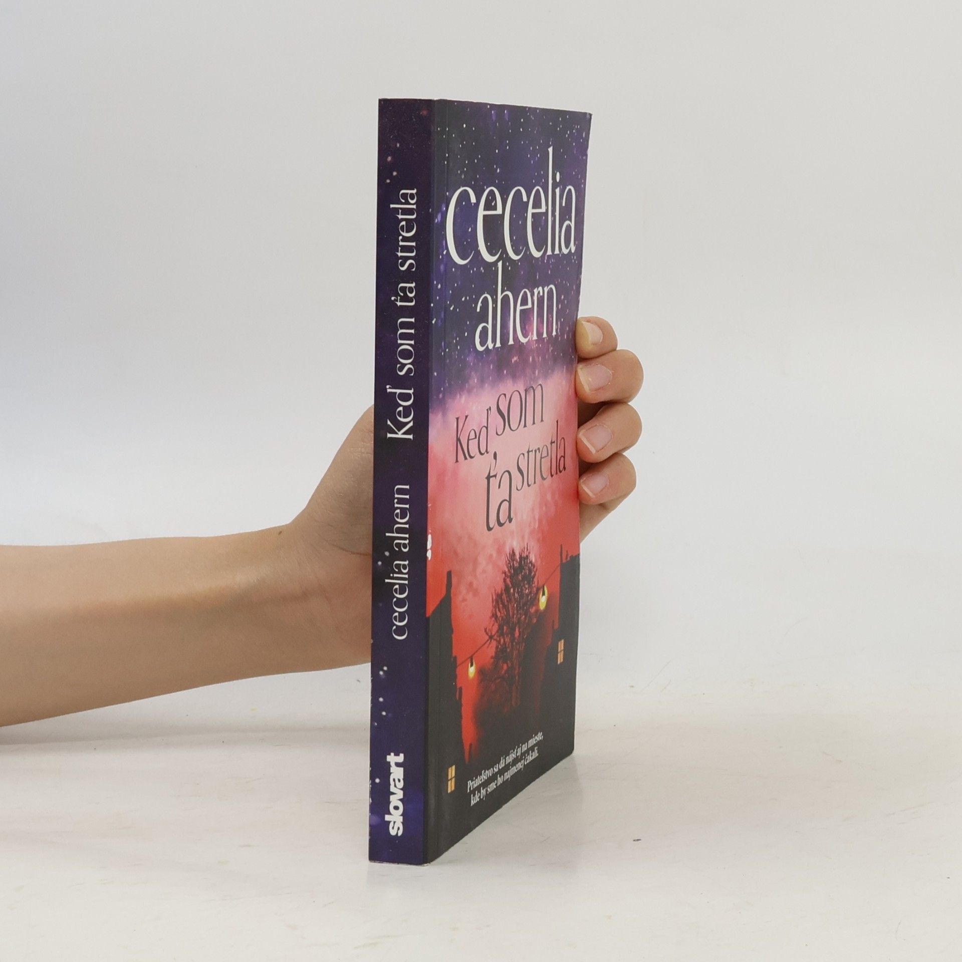 Cecelia Ahern Keď som Ťa stretla