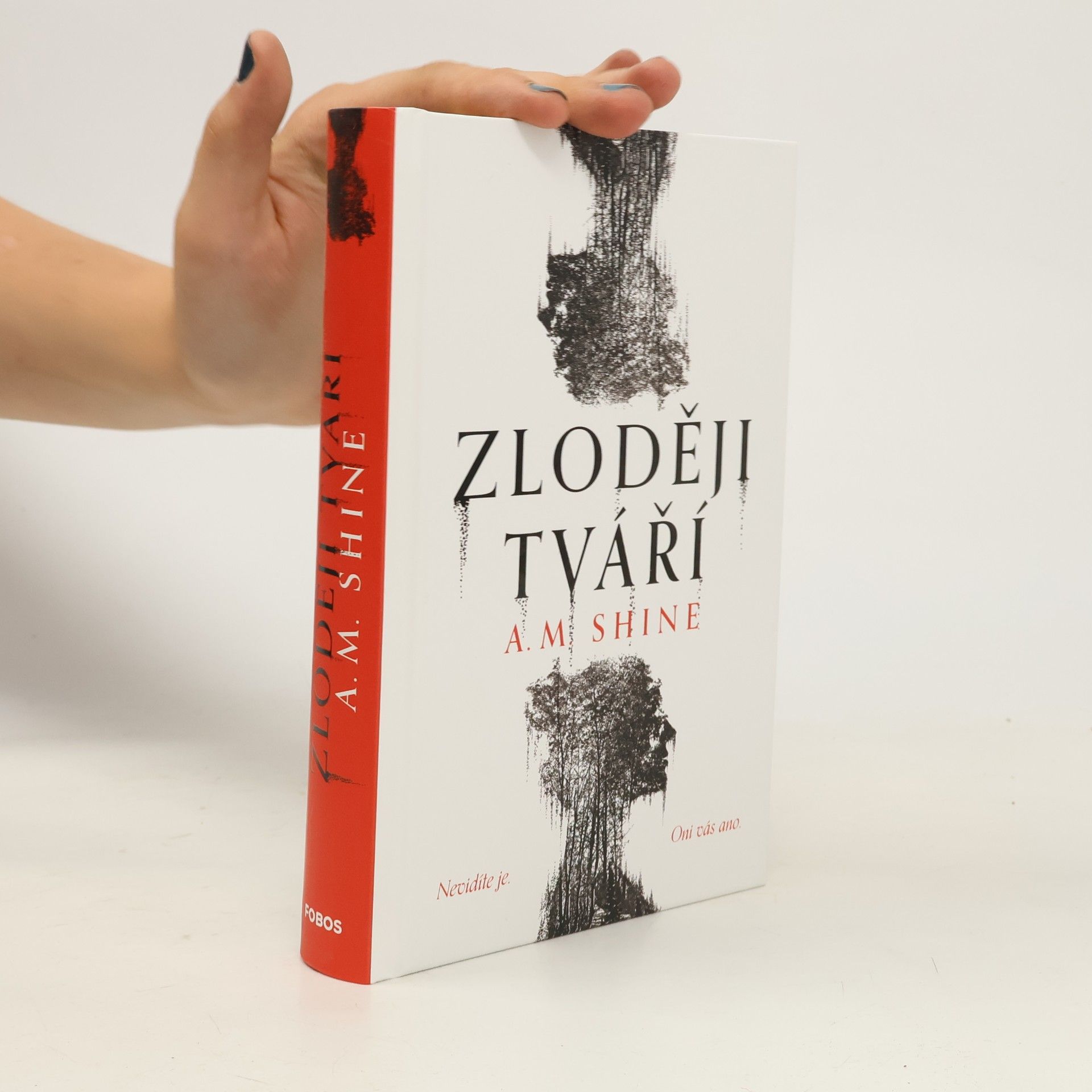 Betty Shine Zloději tváří
