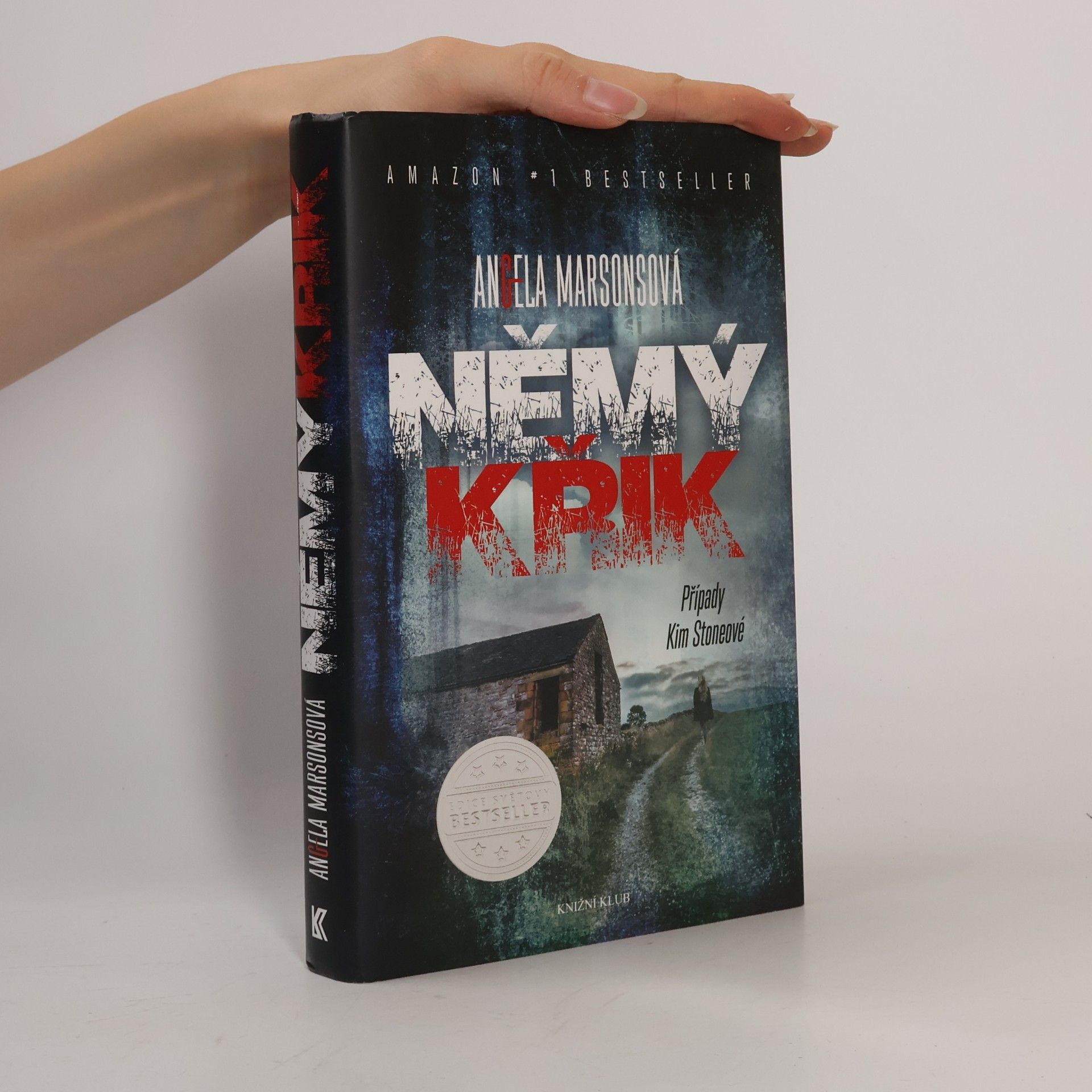 Angela Marsons Němý křik