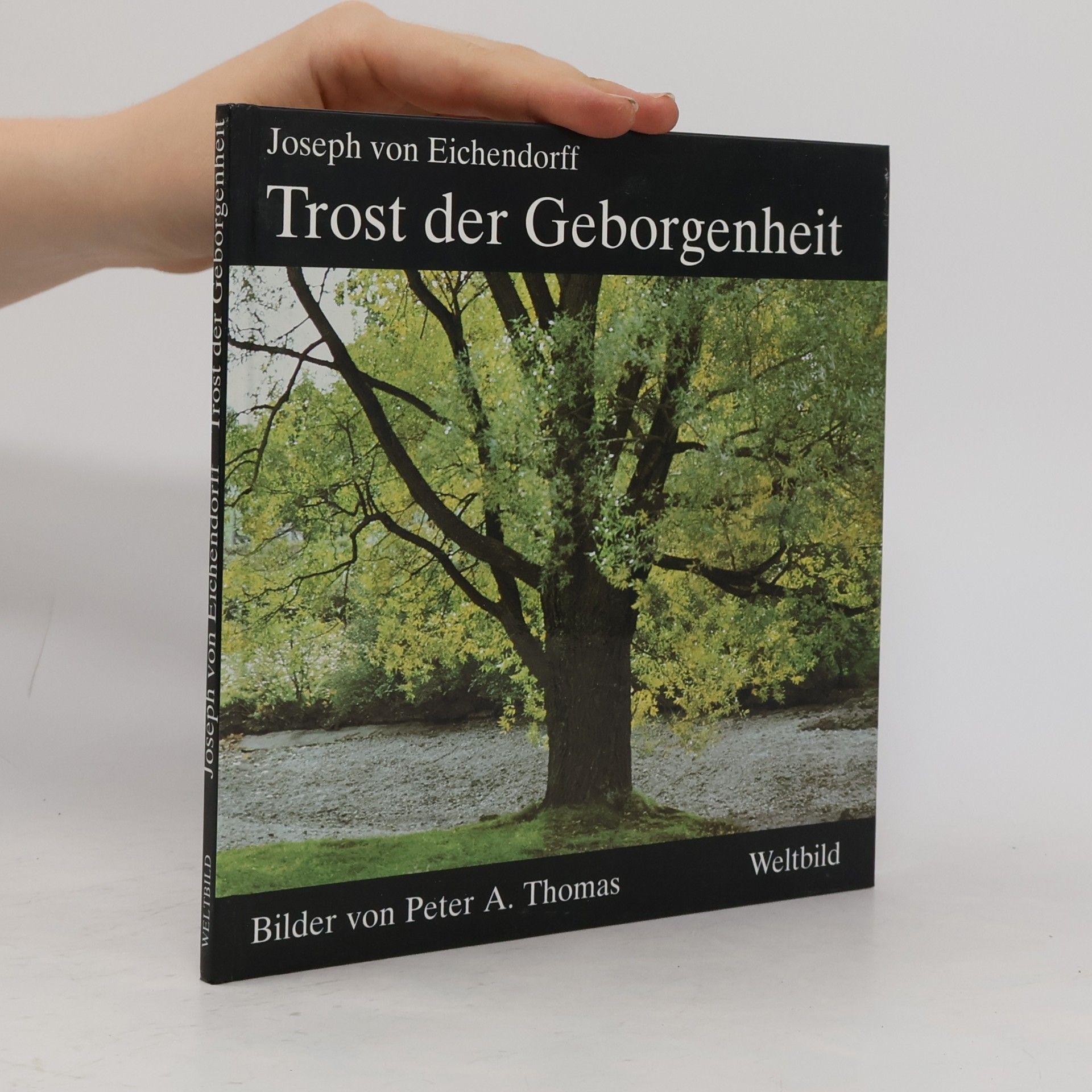 Joseph von Eichendorff Trost der Geborgenheit