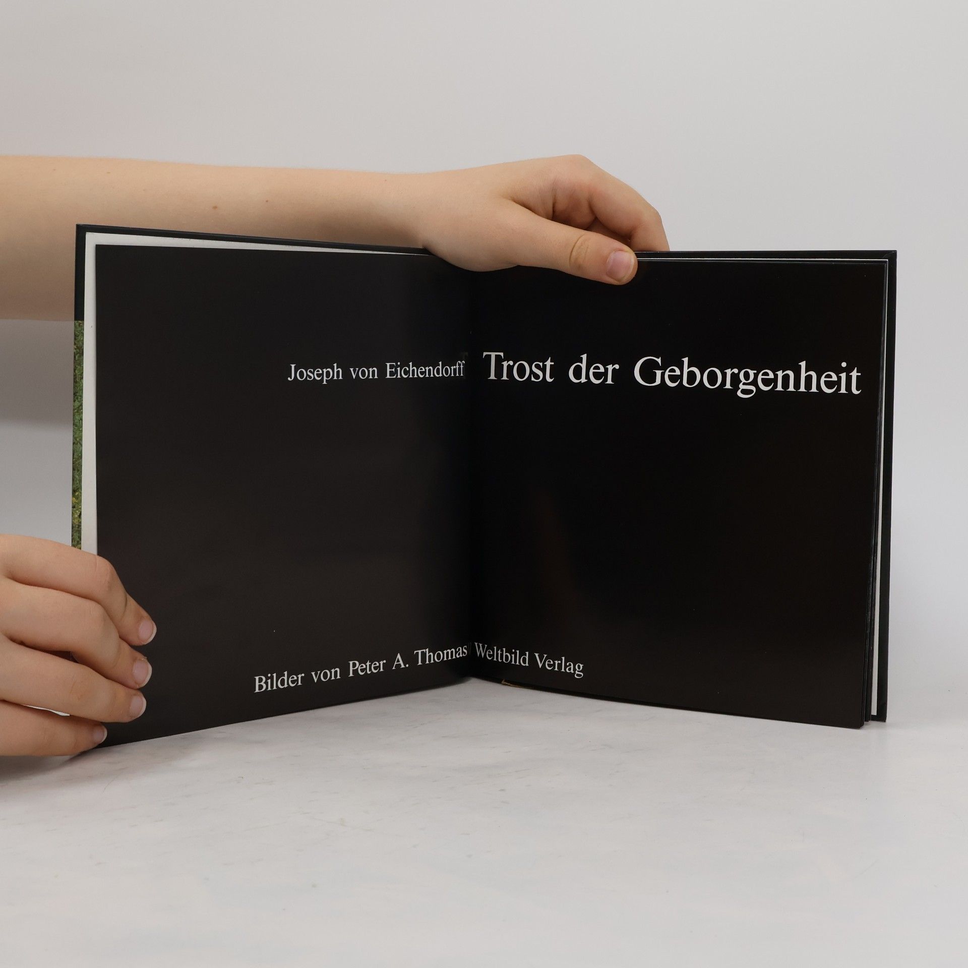 Joseph von Eichendorff Trost der Geborgenheit