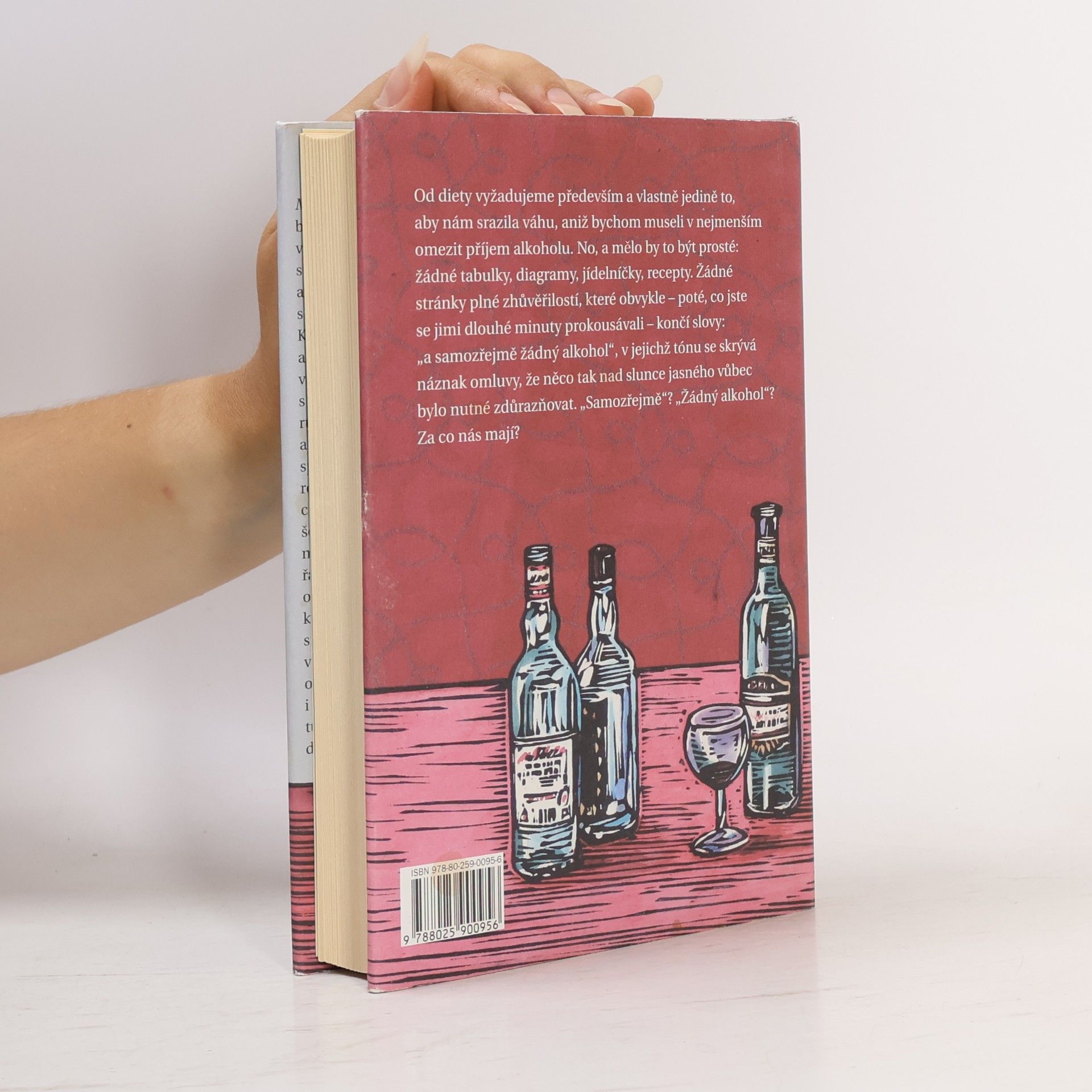 Kingsley Amis Manuál každodenního pijáka