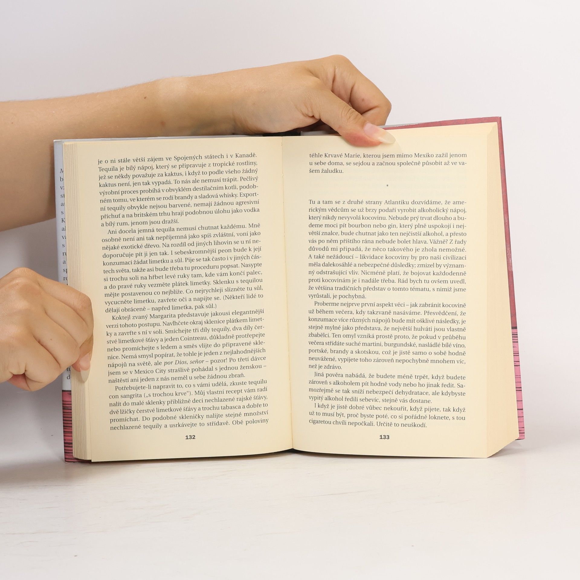 Kingsley Amis Manuál každodenního pijáka