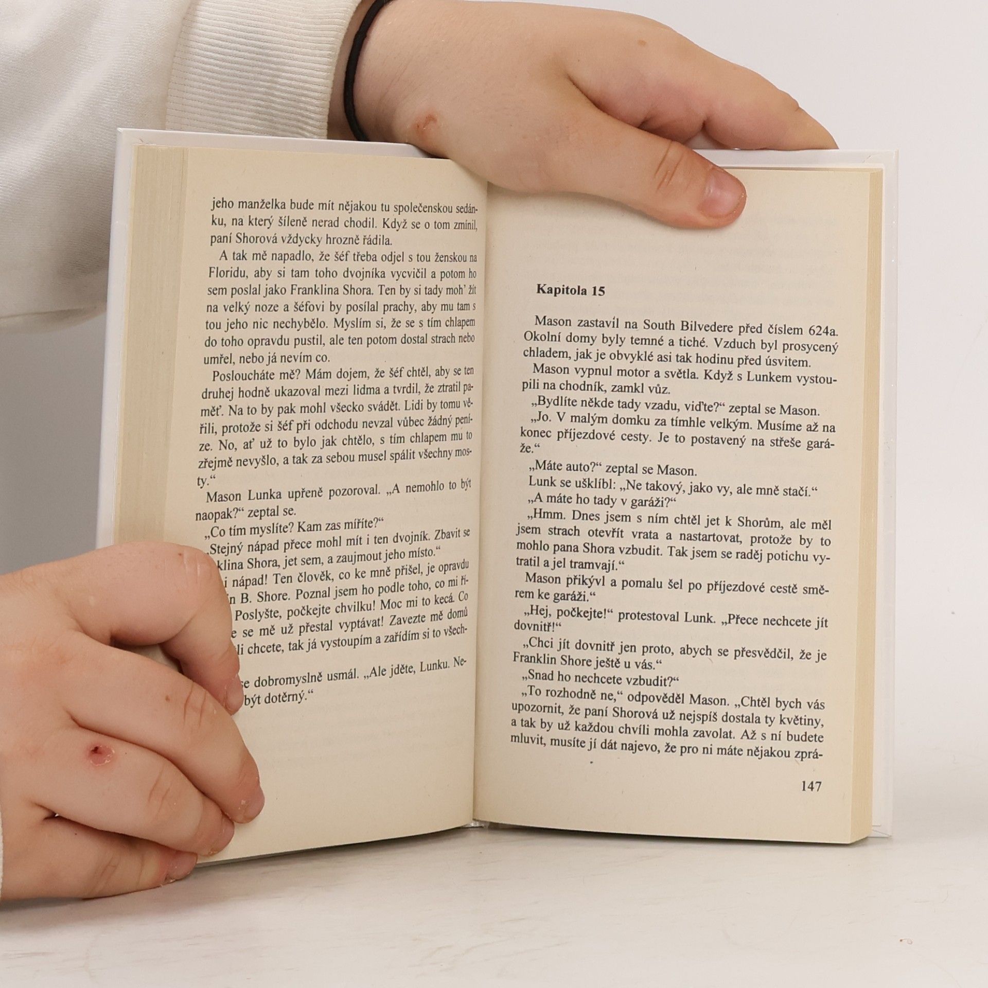 Erle Stanley Gardner Případ neopatrného kotěte