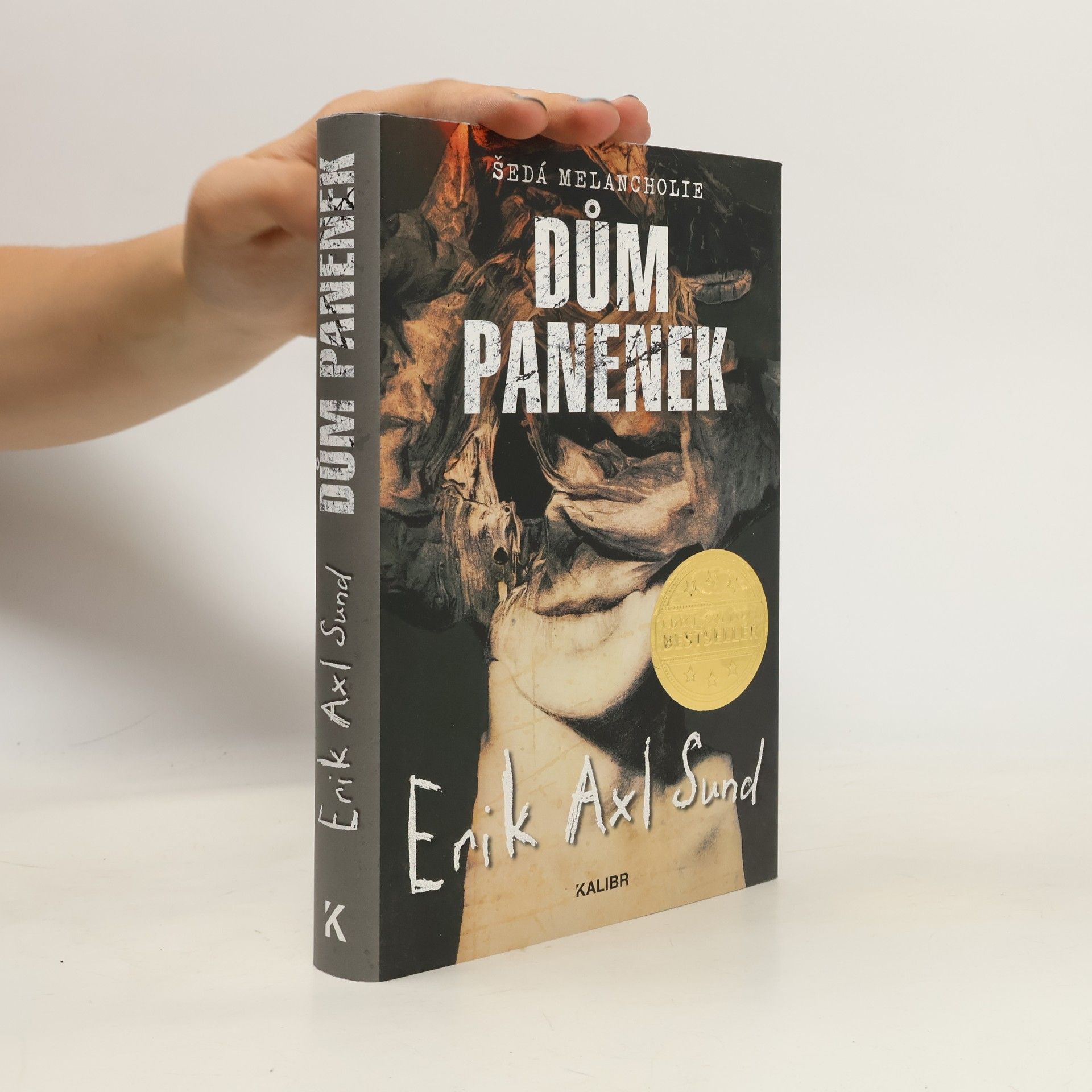 Erik Axl Sund Dům panenek