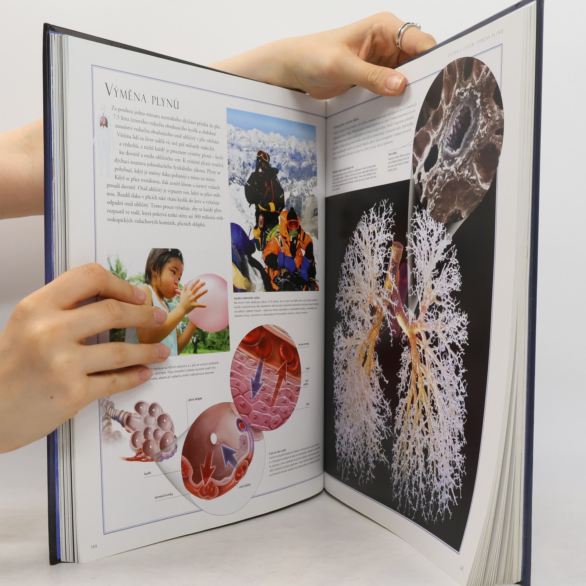 Beverly McMillan Velký ilustrovaný atlas lidského těla