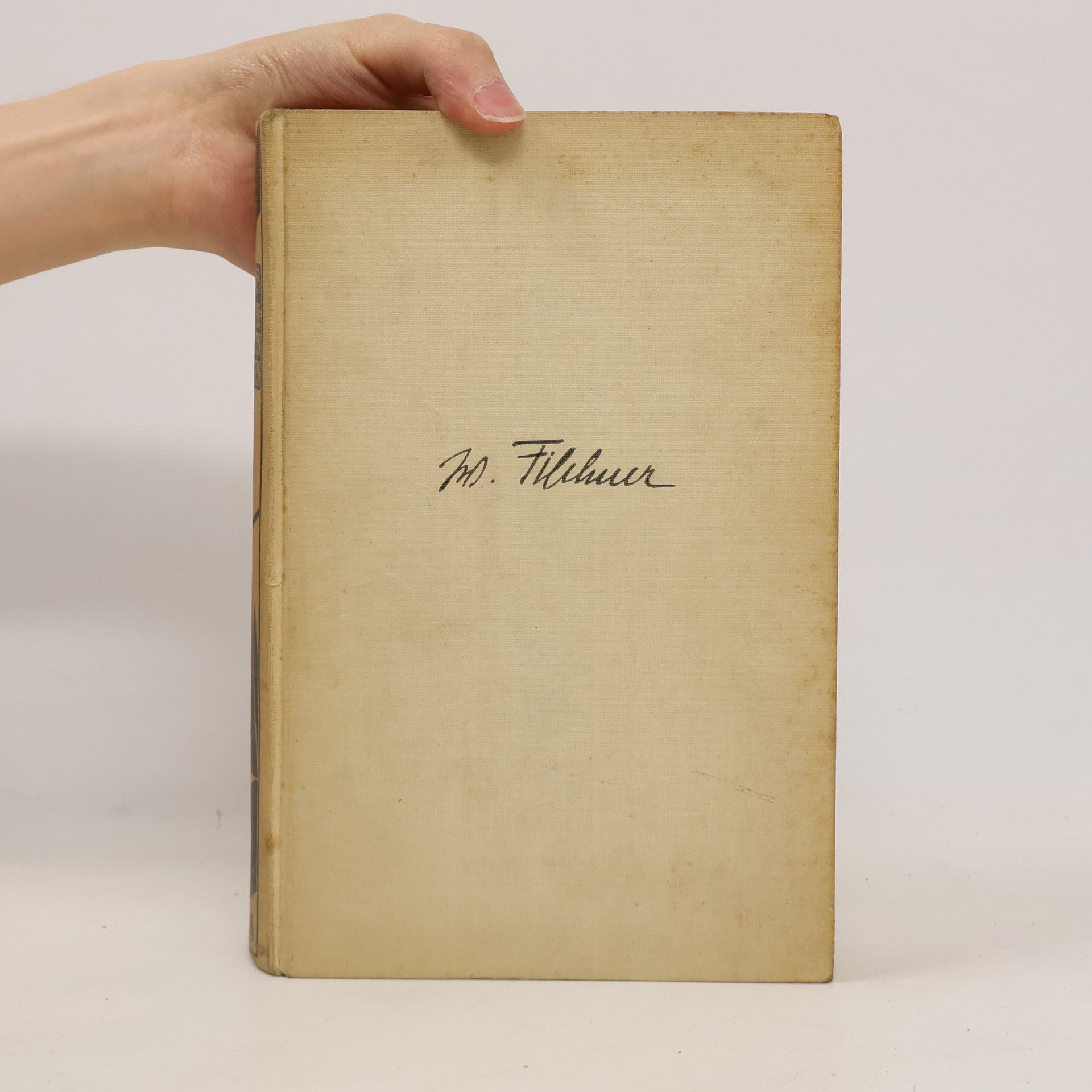 Wilhelm Filchner Wetterleuchten im Osten