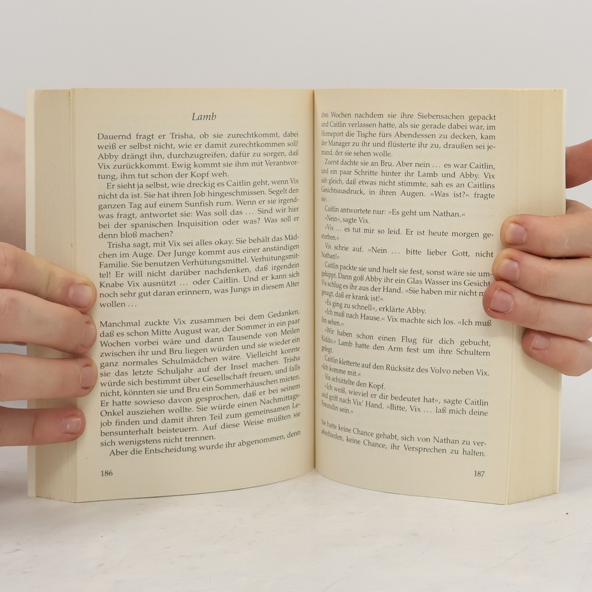 Judy Blume Sommerschwestern