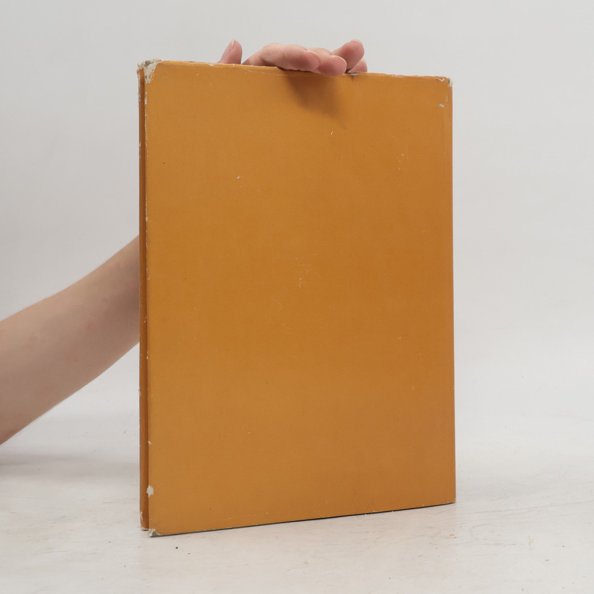 Paul Michel Handbuch der Musikerziehung II.