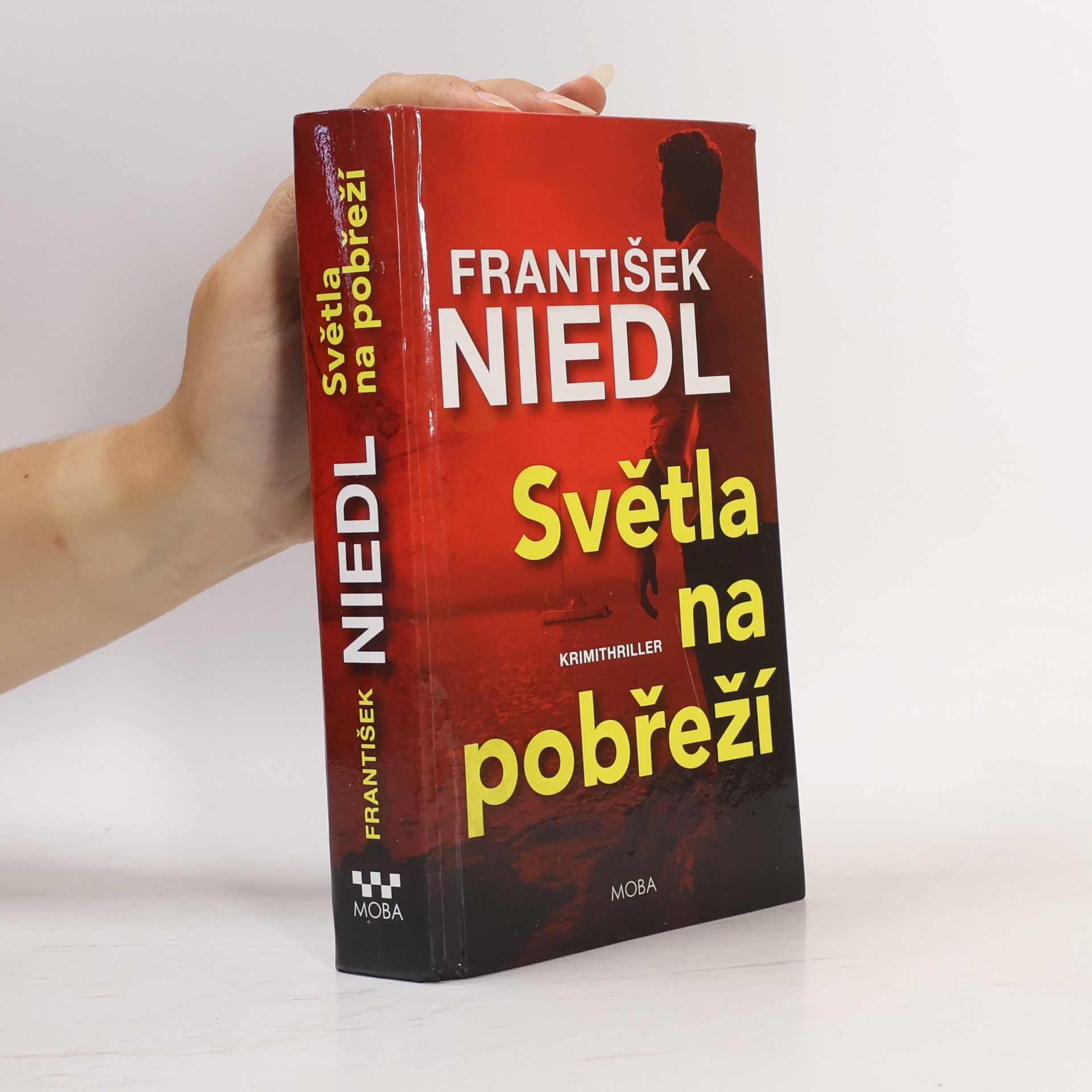 František Niedl Světla na pobřeží