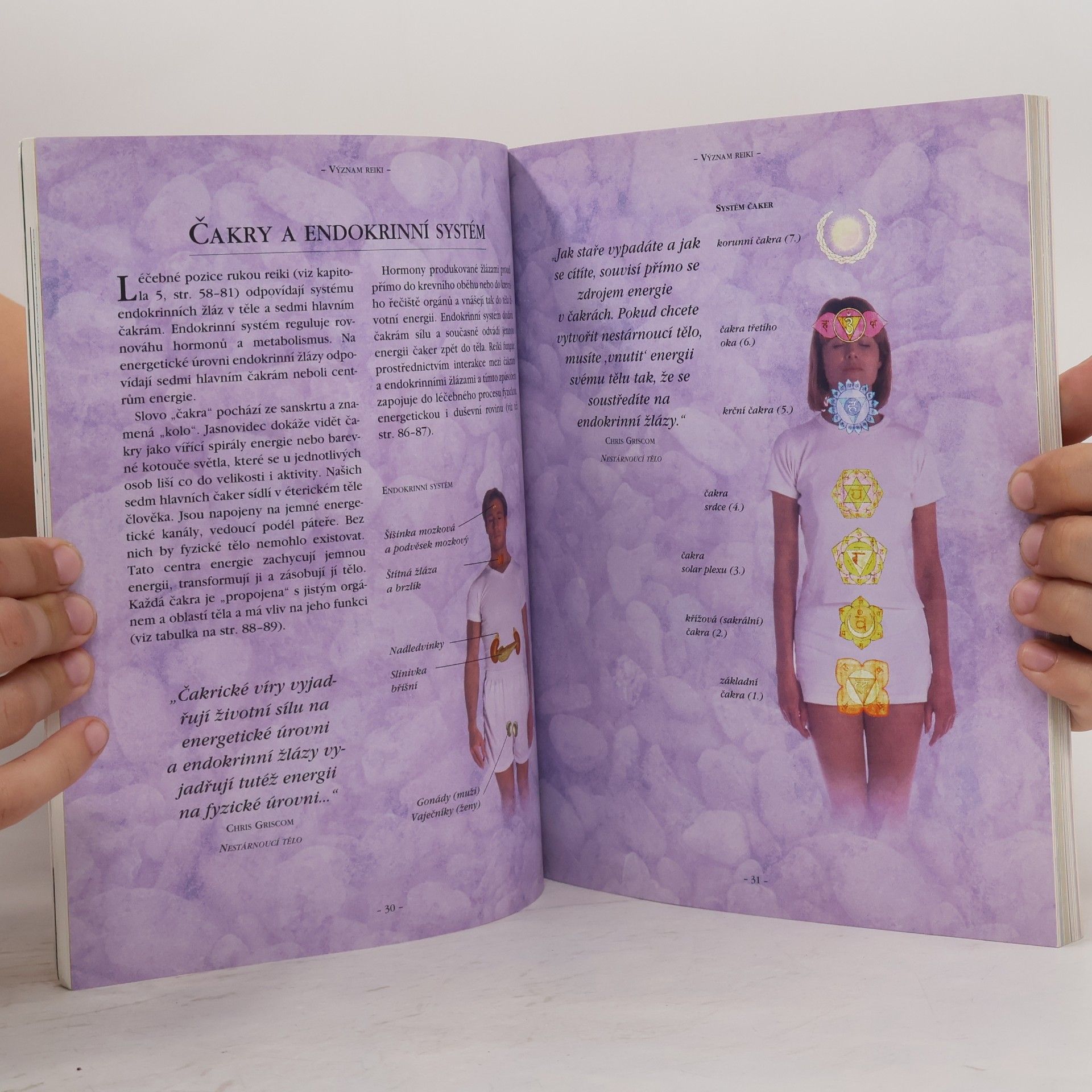 Tanmaya Honervogt Reiki. Léčení a navozování harmonie prostřednictvím rukou