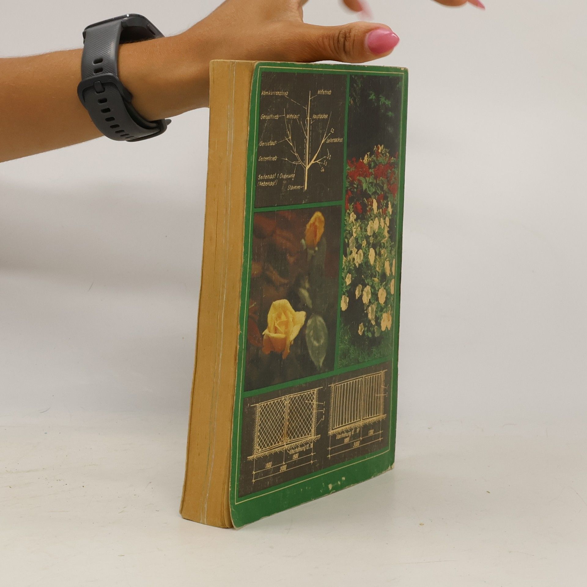 Günter Schulte Handbuch für den Garten
