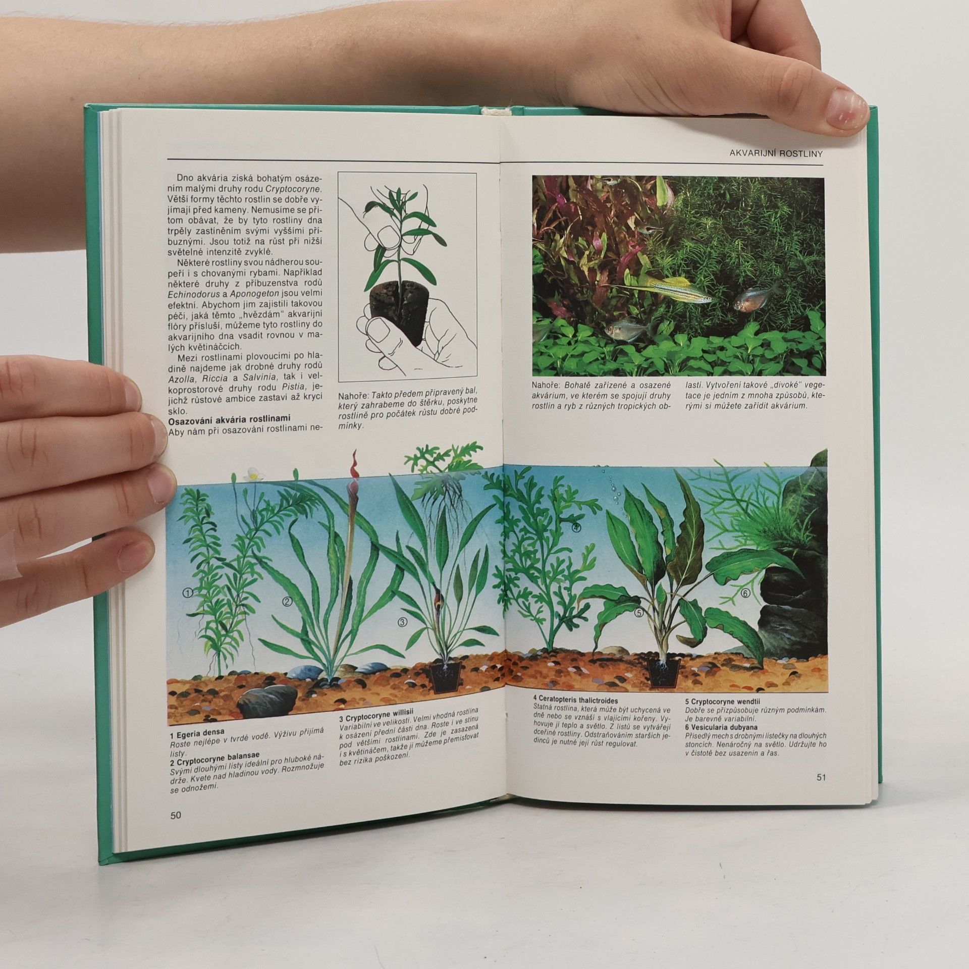 Dick Mills Akvárium: Ilustrovaná příručka pro začínající akvaristy