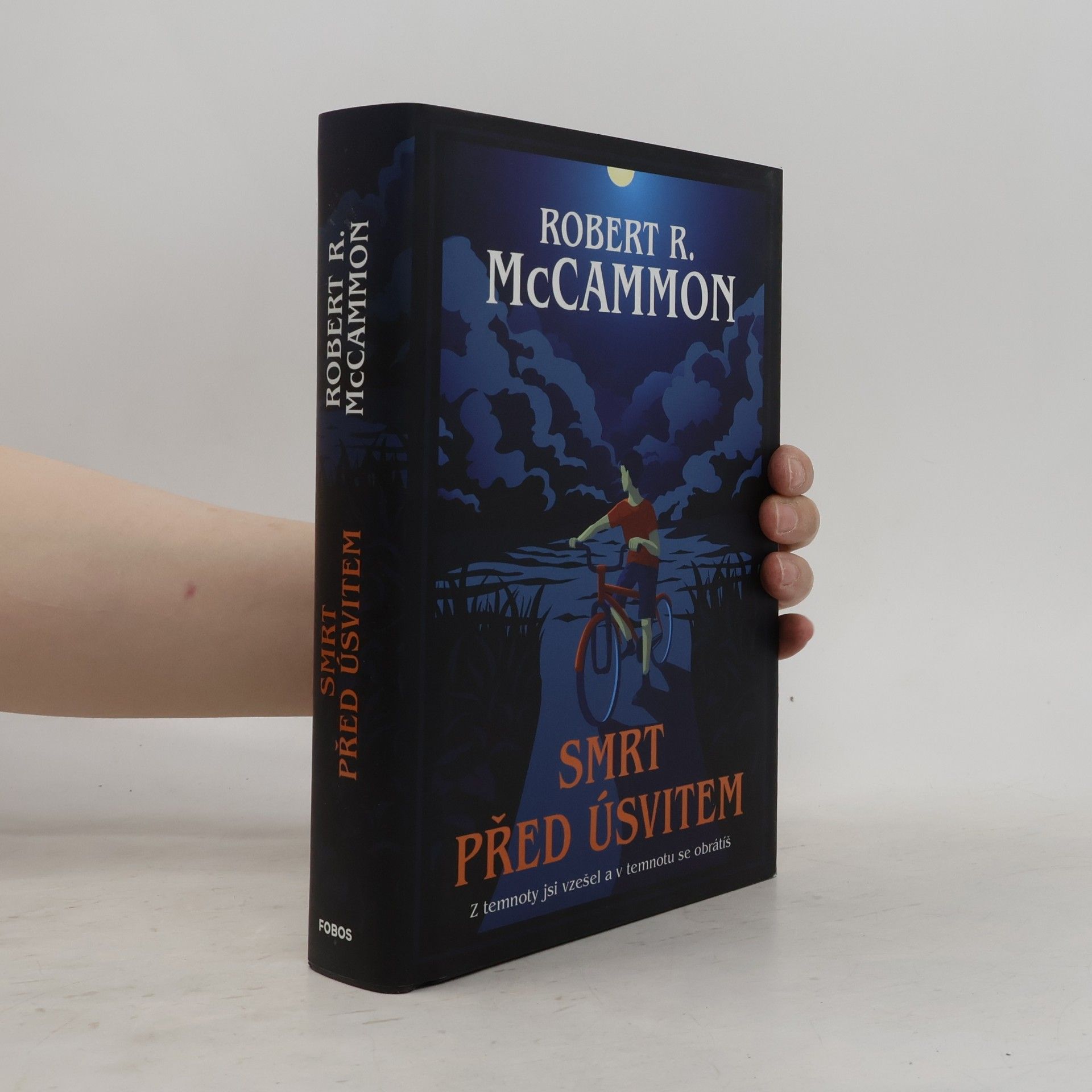 Robert R. McCammon Smrt před úsvitem