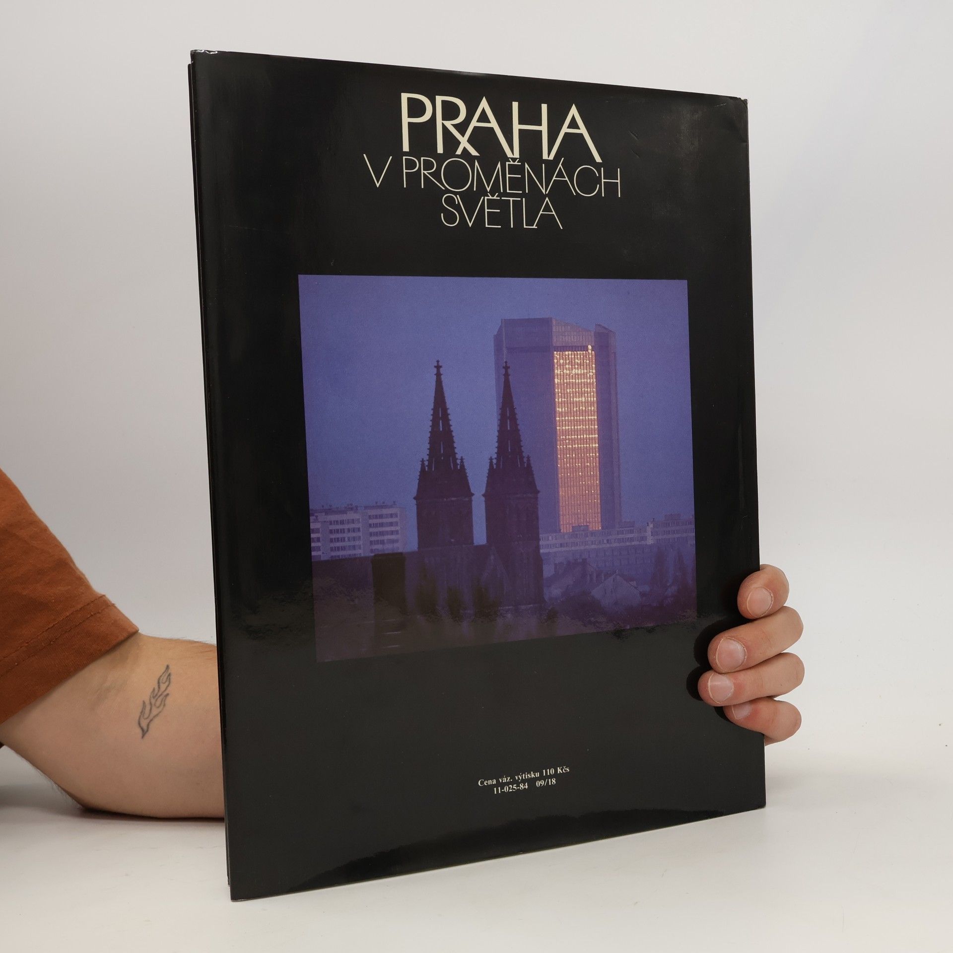 Josef Brukner Praha v proměnách světla