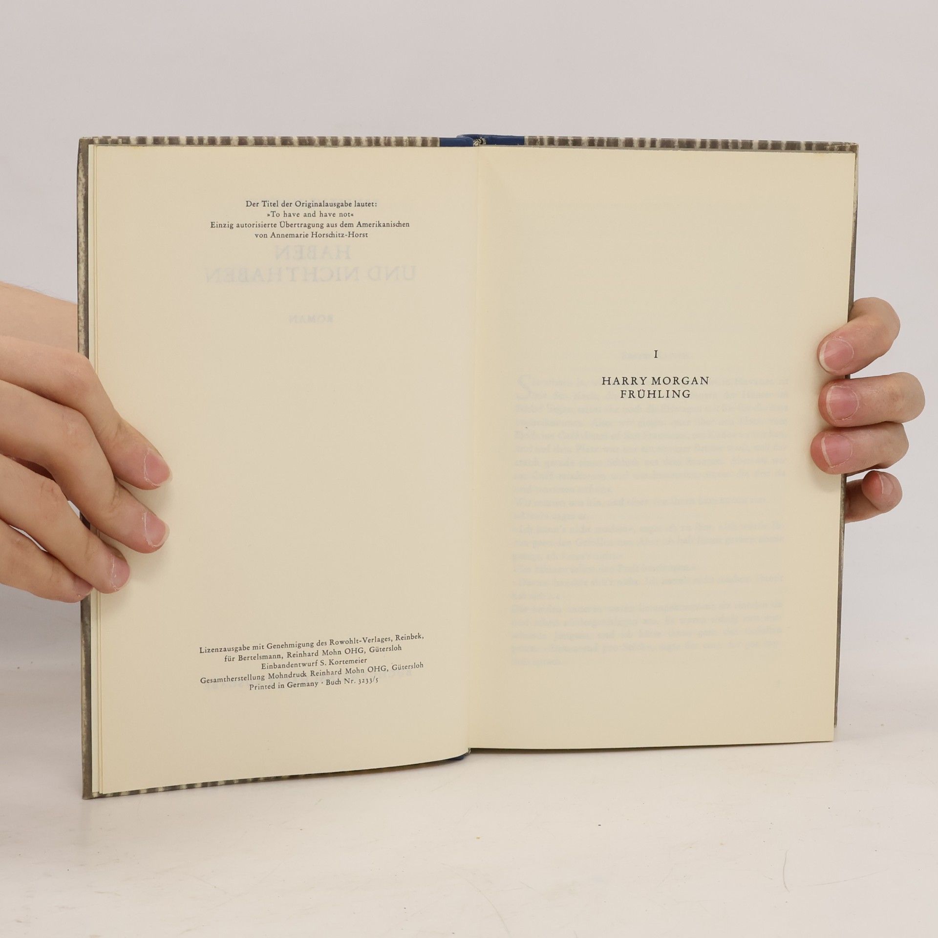 Ernest Hemingway Haben und nicht haben
