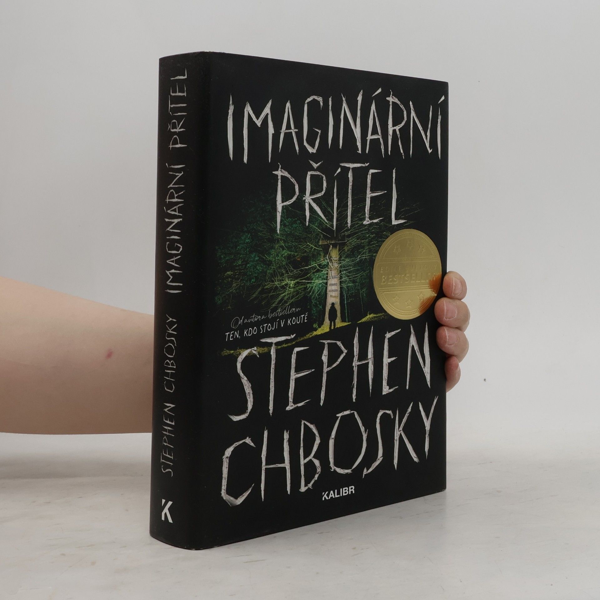 Stephen Chbosky Imaginární přítel