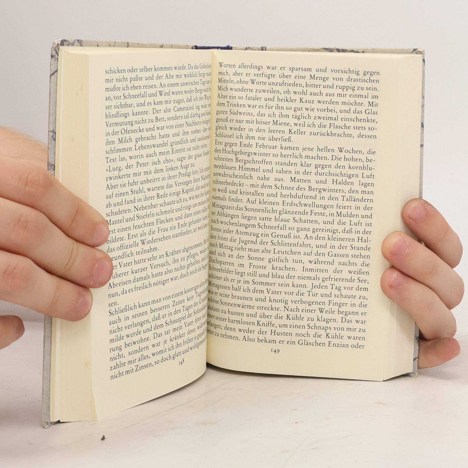 Hermann Hesse Camenzind Unterm Rad