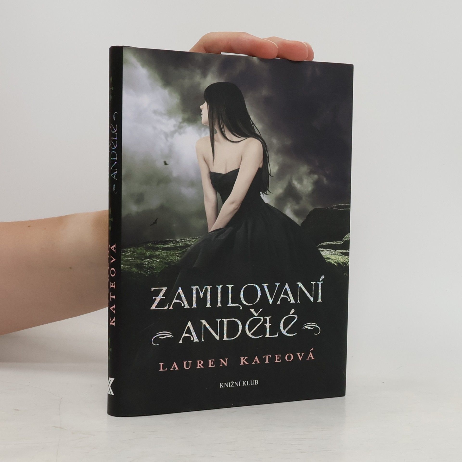 Lauren Kate Zamilovaní andělé