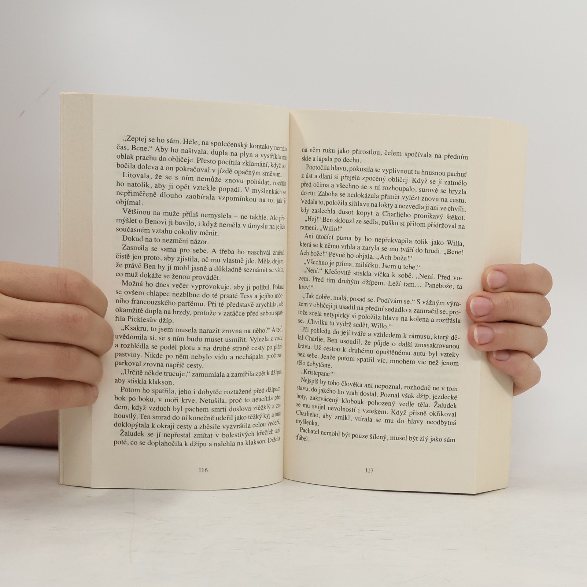 Nora Roberts Nebe mé lásky