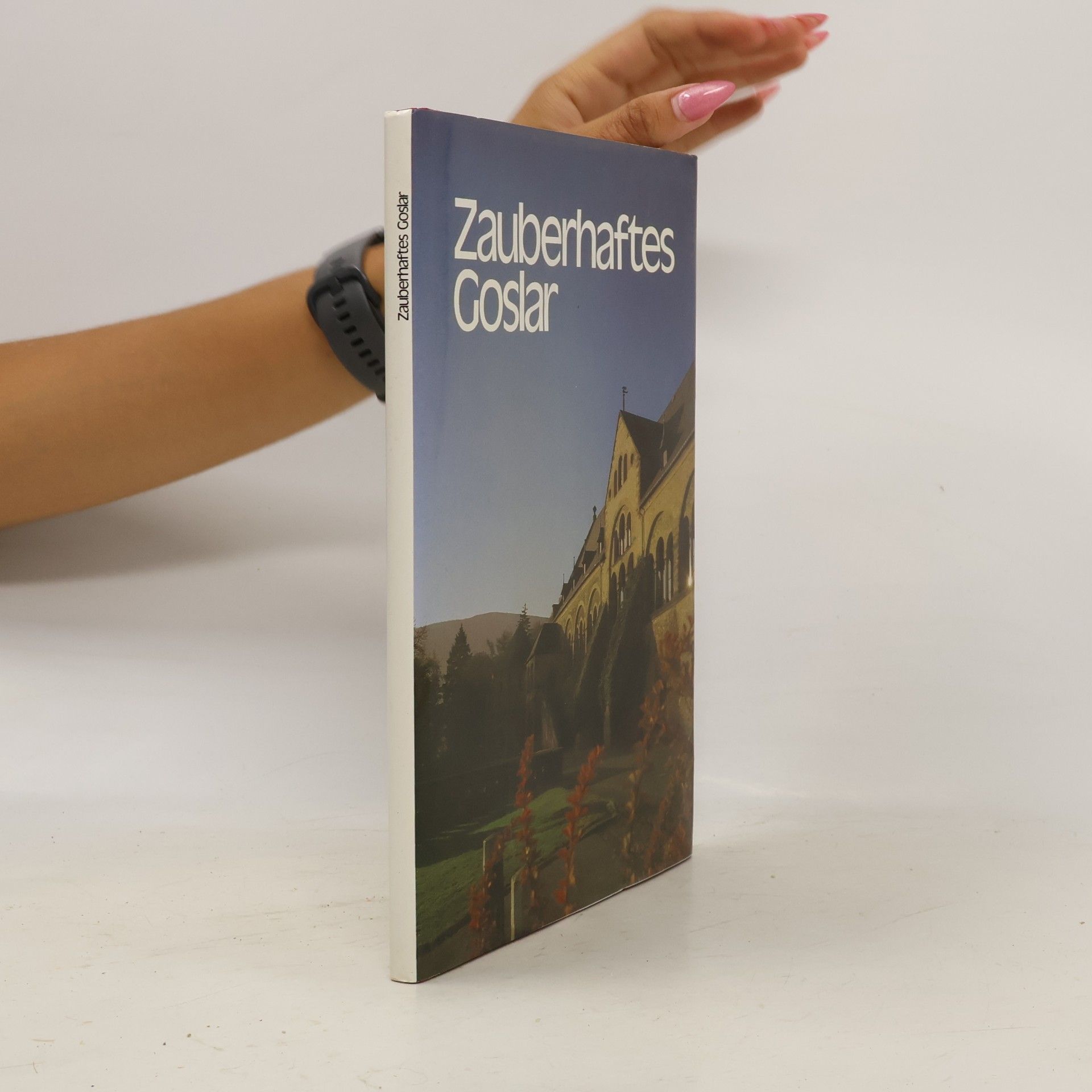 Autorenkollektiv Zauberhaftes Goslar