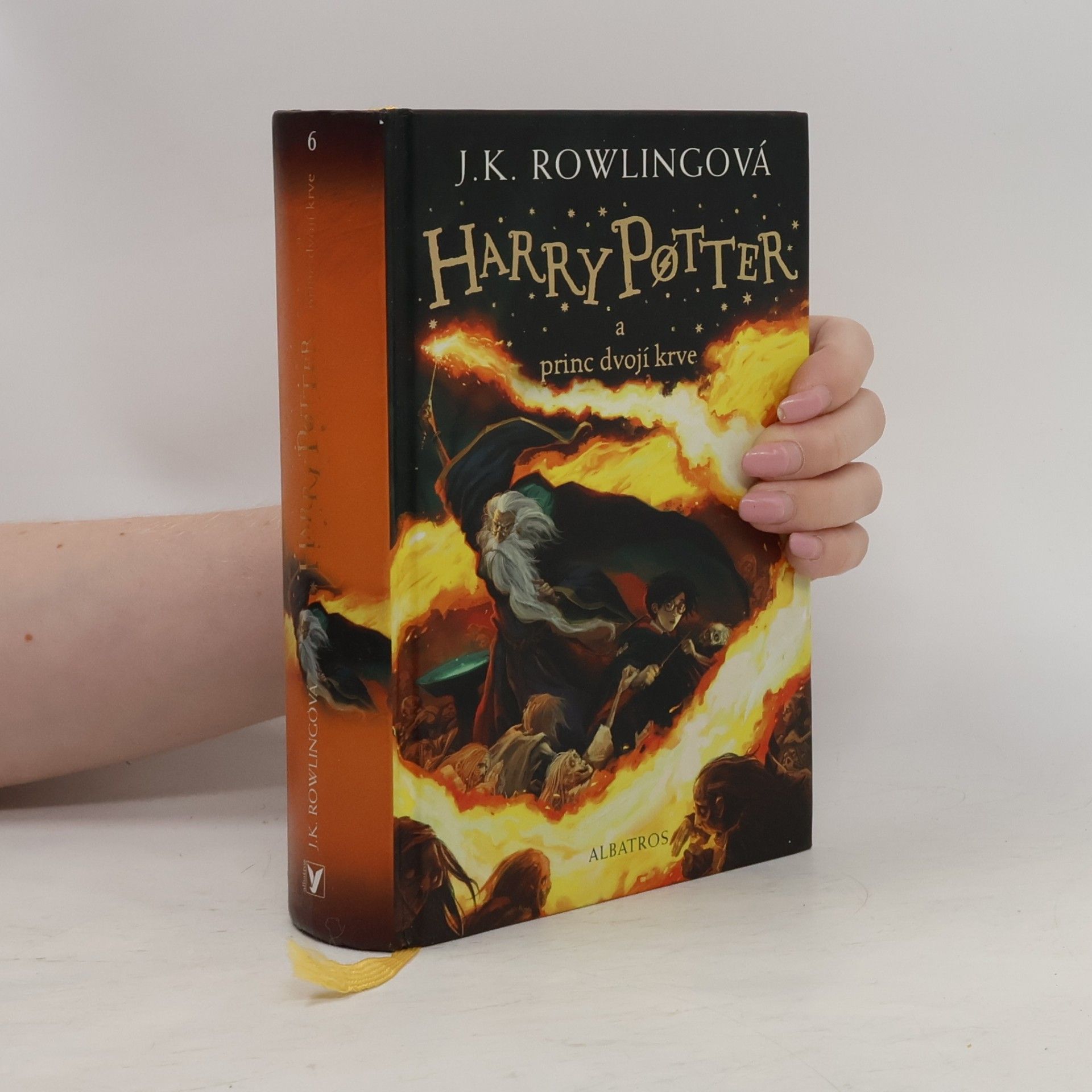 Pavel Medek Harry Potter a princ dvojí krve