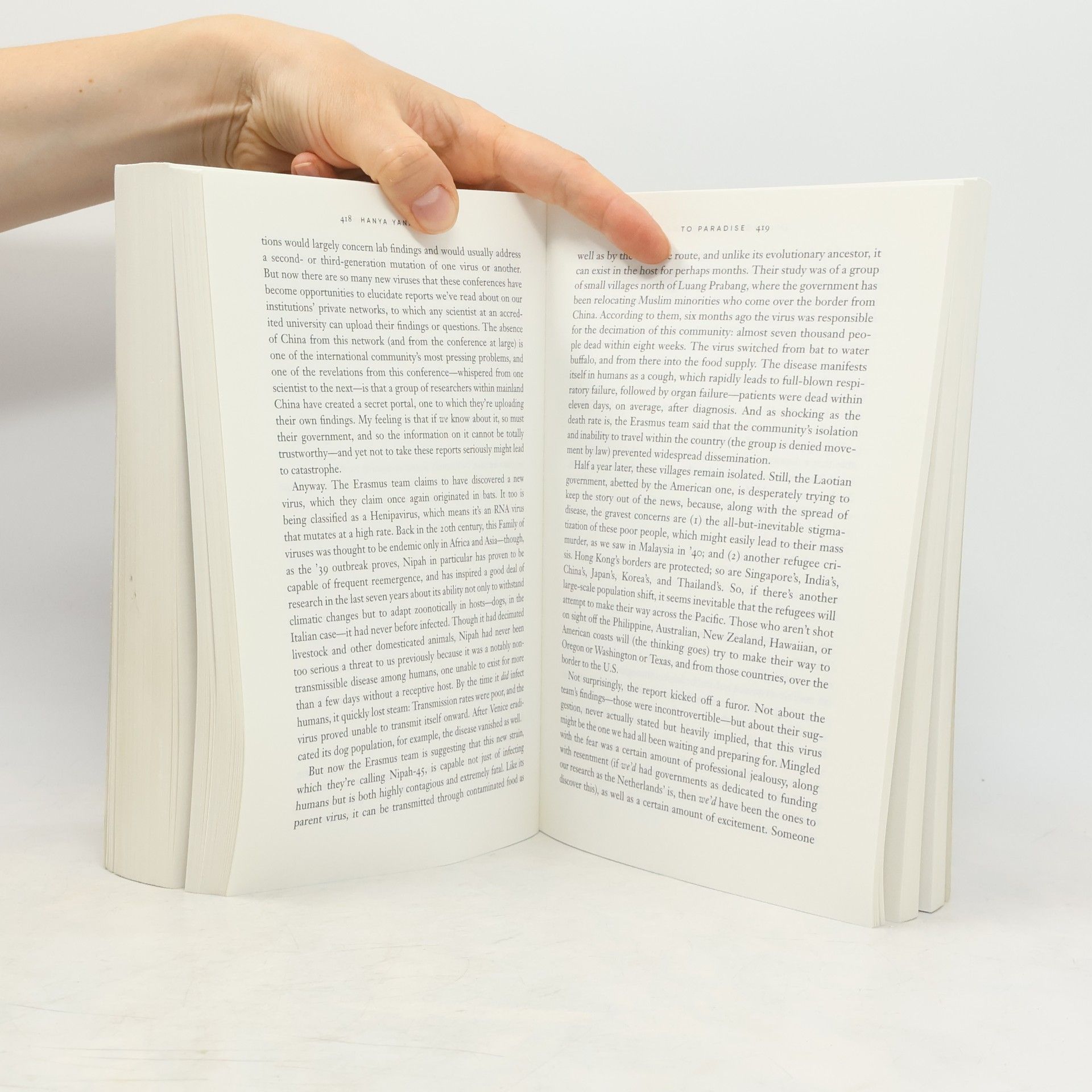 Hanya Yanagihara To Paradise