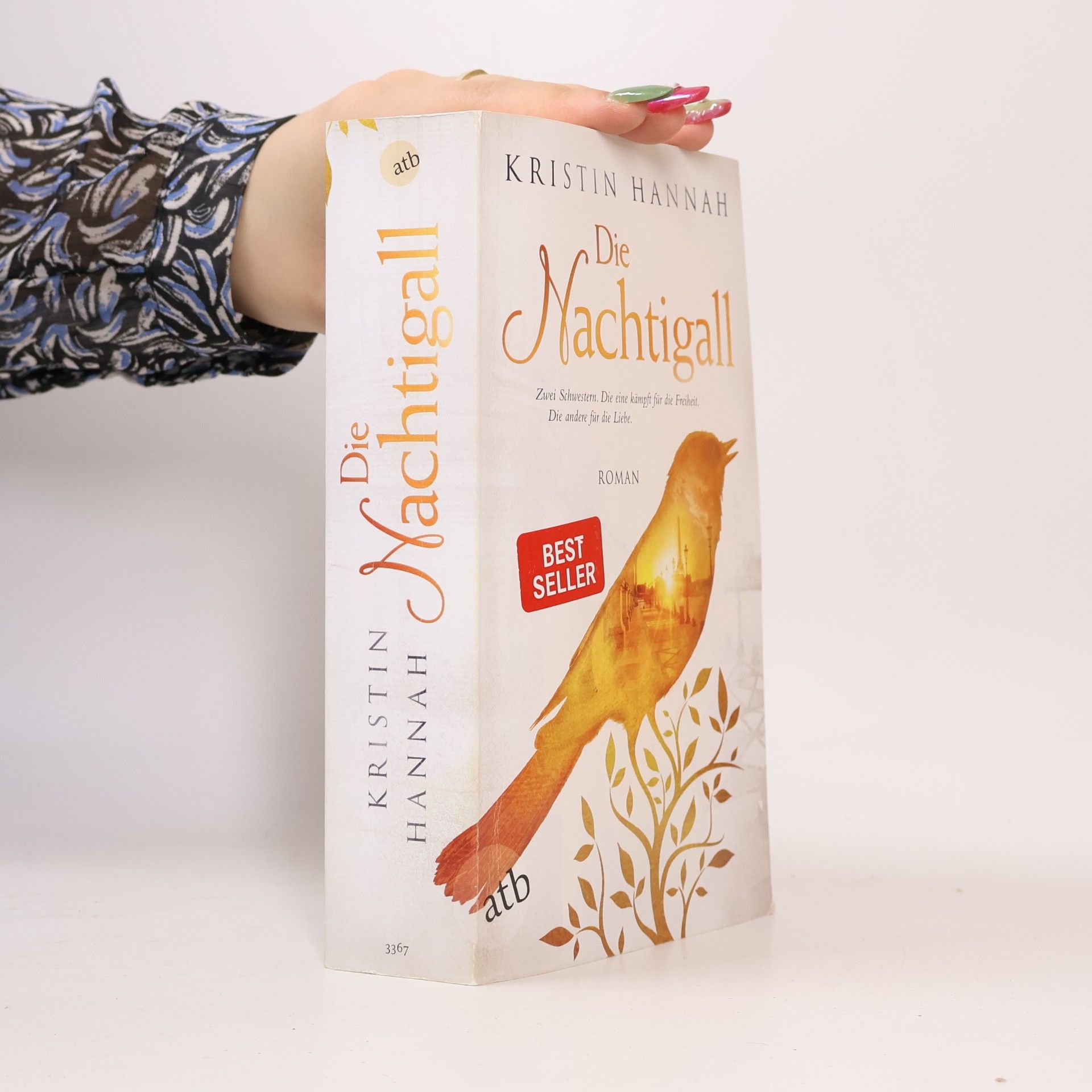 Kristin Hannah Die Nachtigall