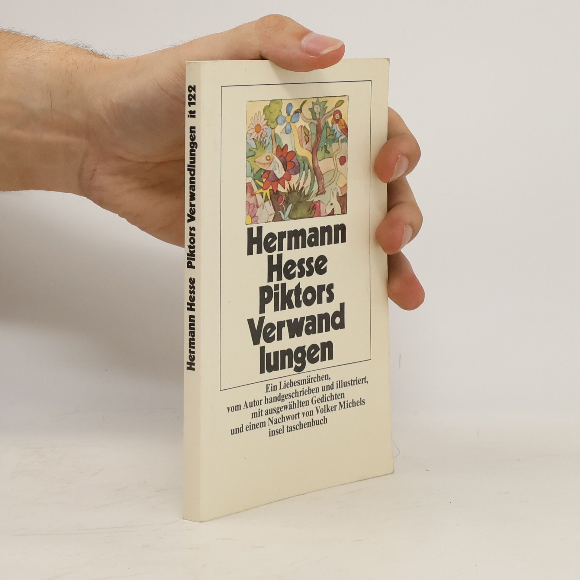 Hermann Hesse Piktors Verwandlungen