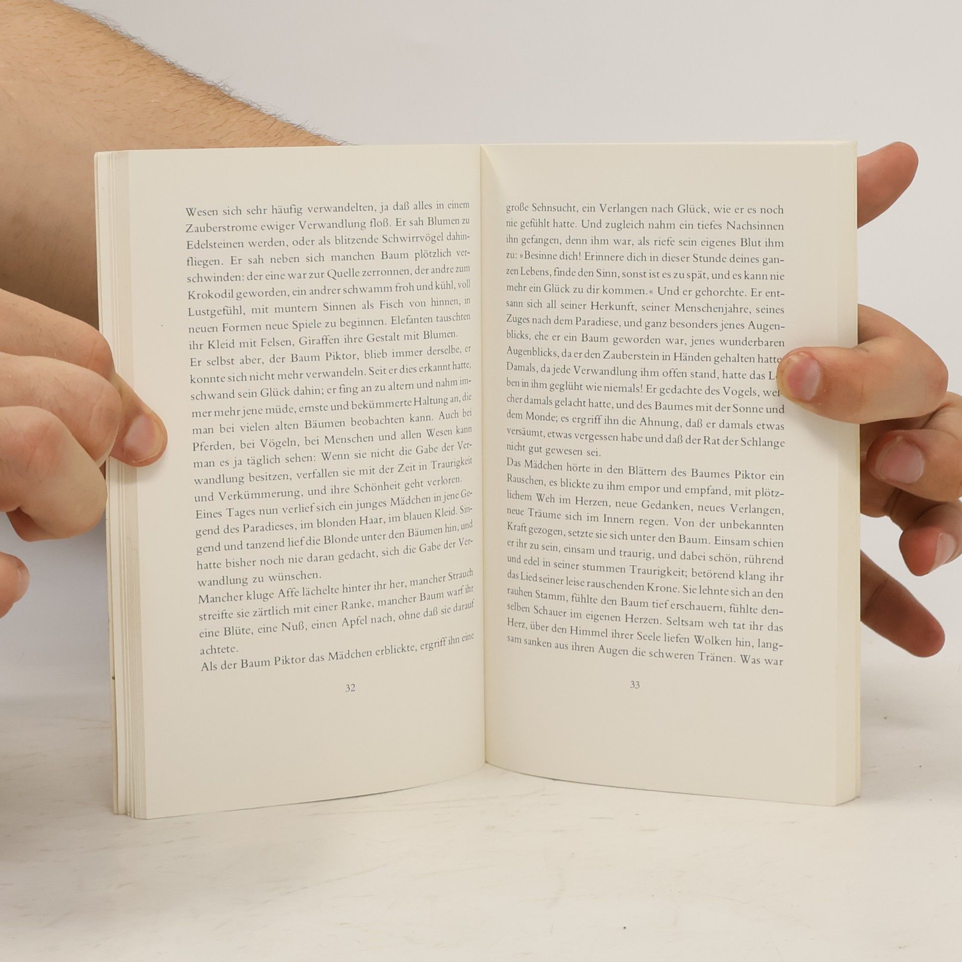 Hermann Hesse Piktors Verwandlungen