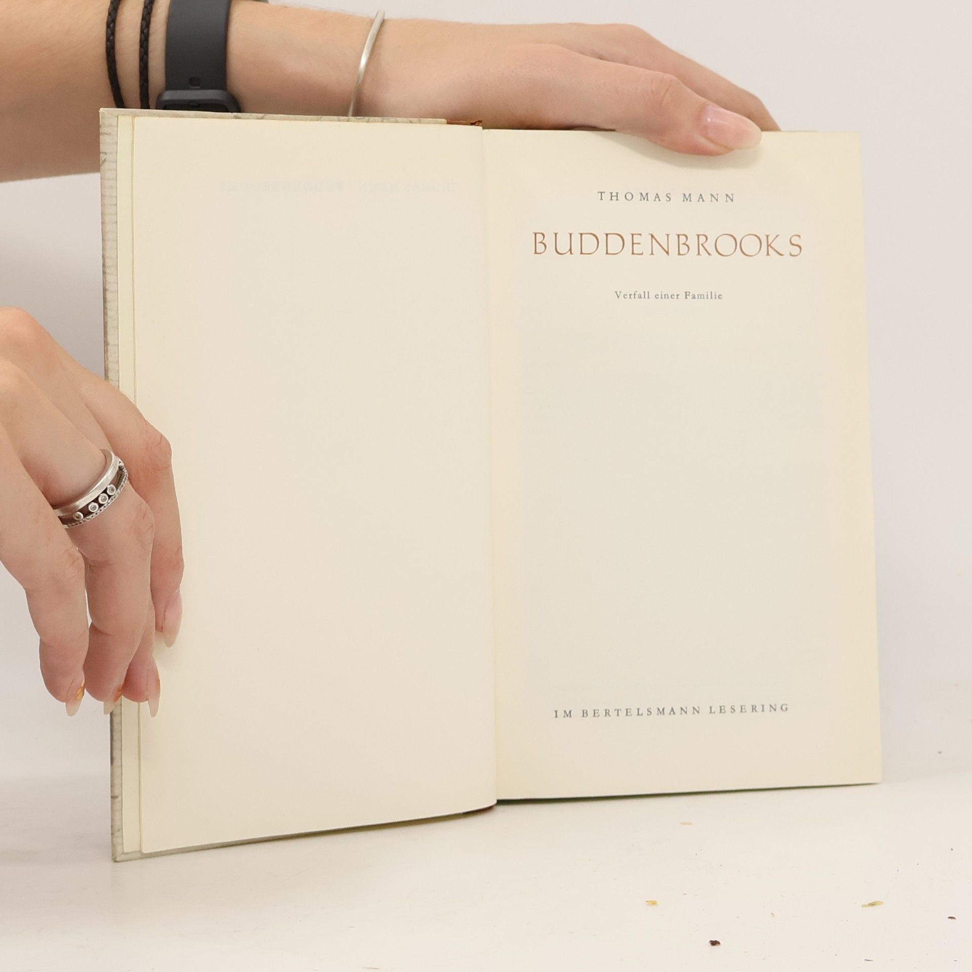 Thomas Mann Buddenbrooks