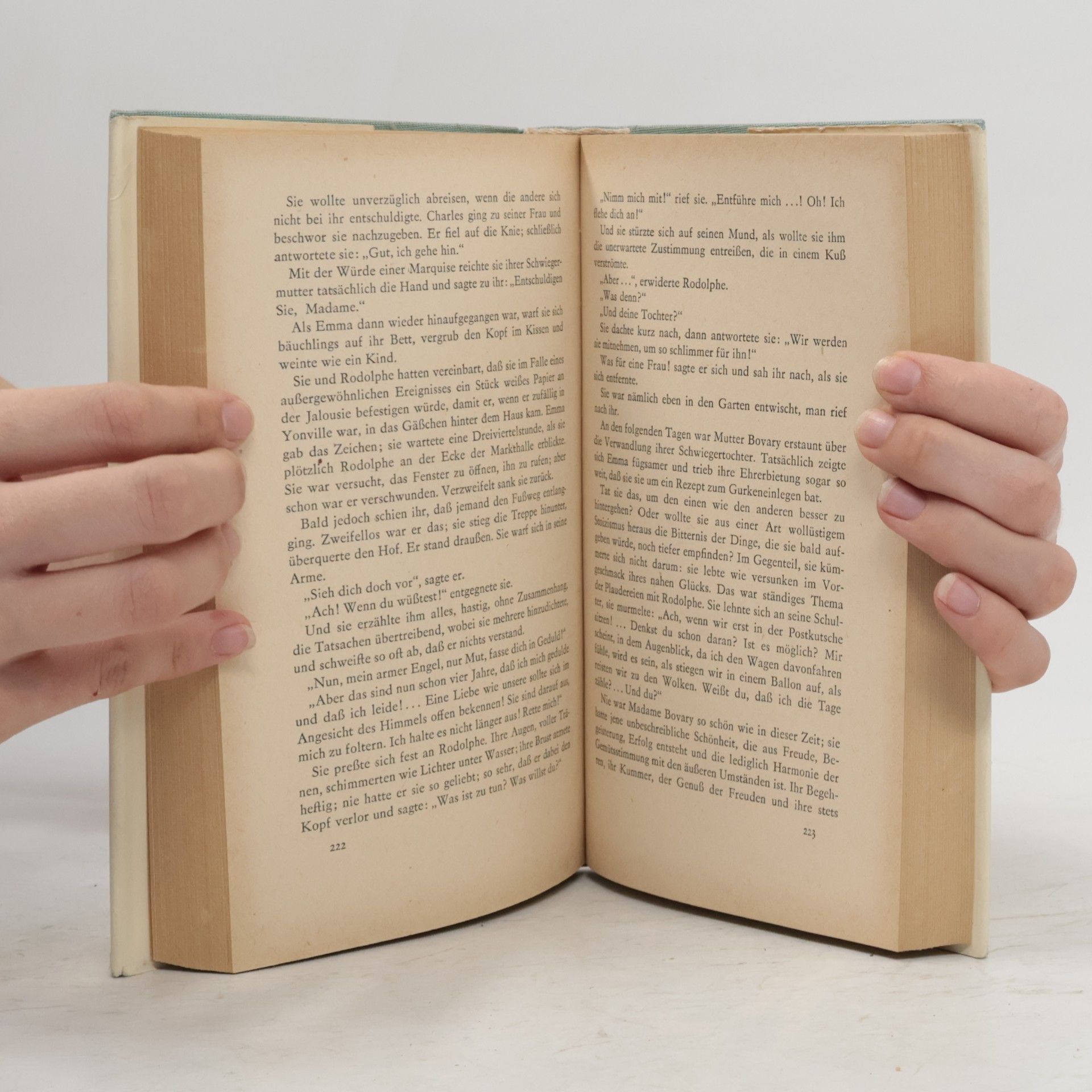 Gustave Flaubert Madame Bovary